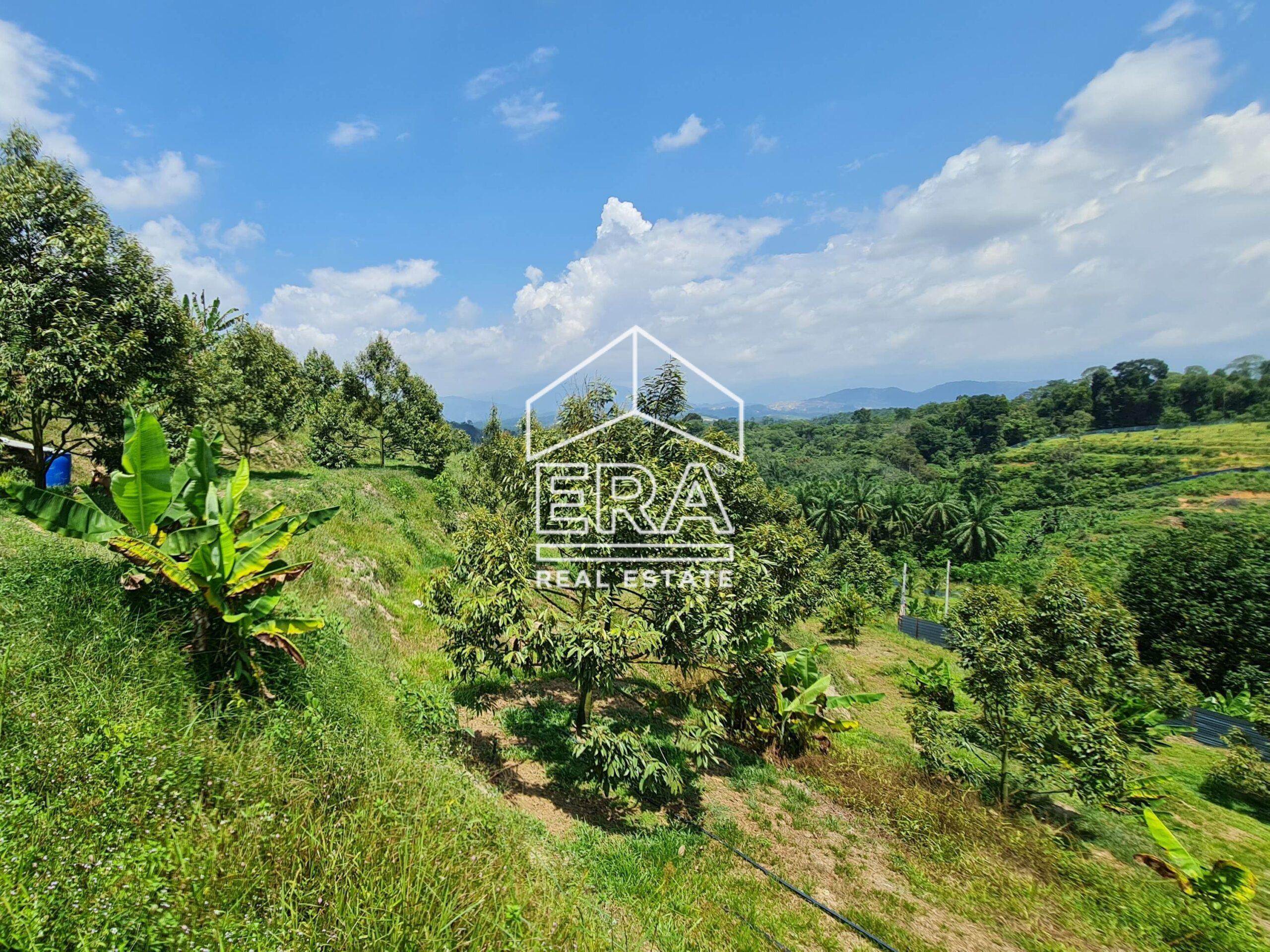 20220817_122142-crushimage_cropped-scaled-1