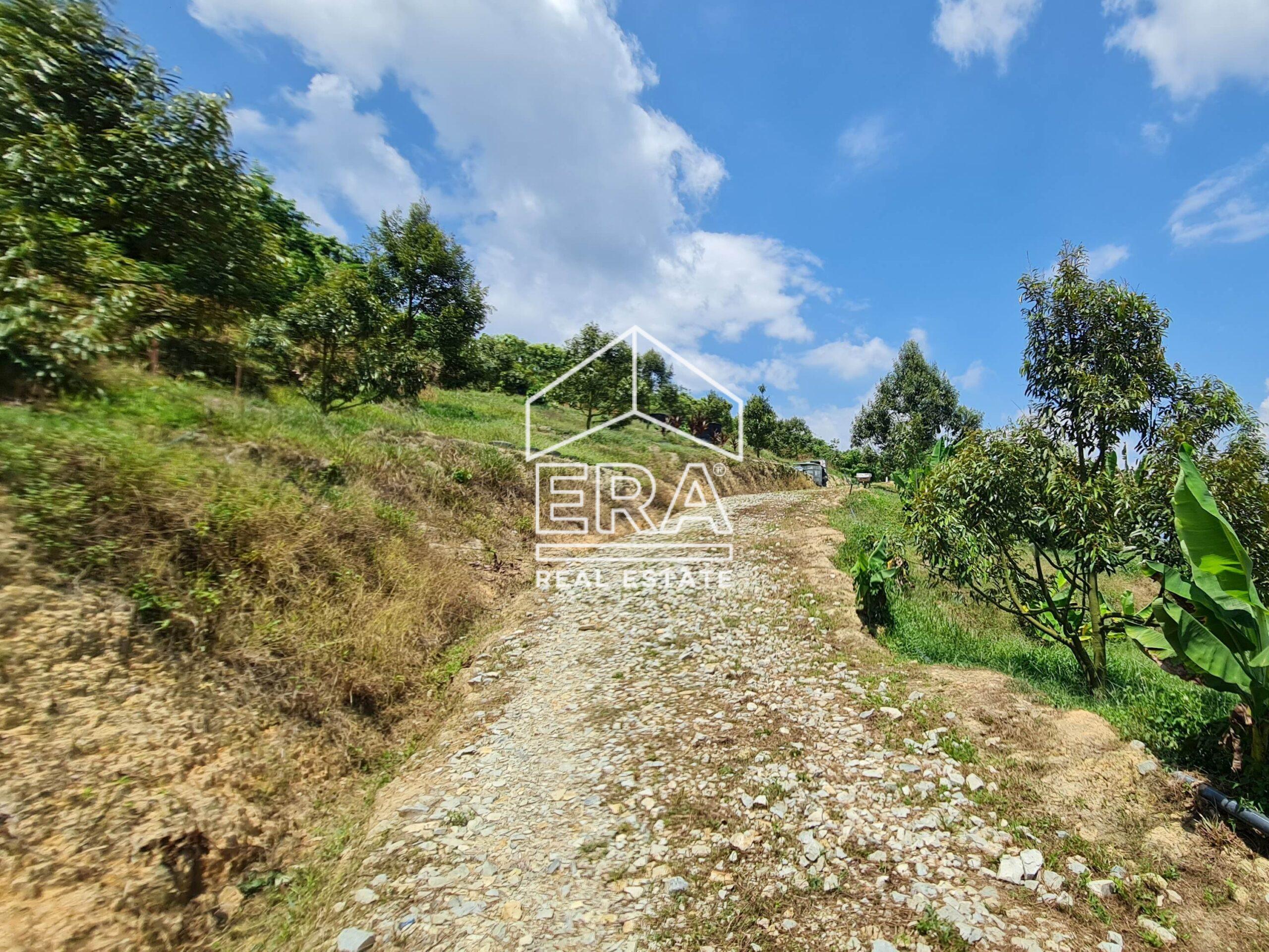 20220817_122231-crushimage_cropped-scaled-1