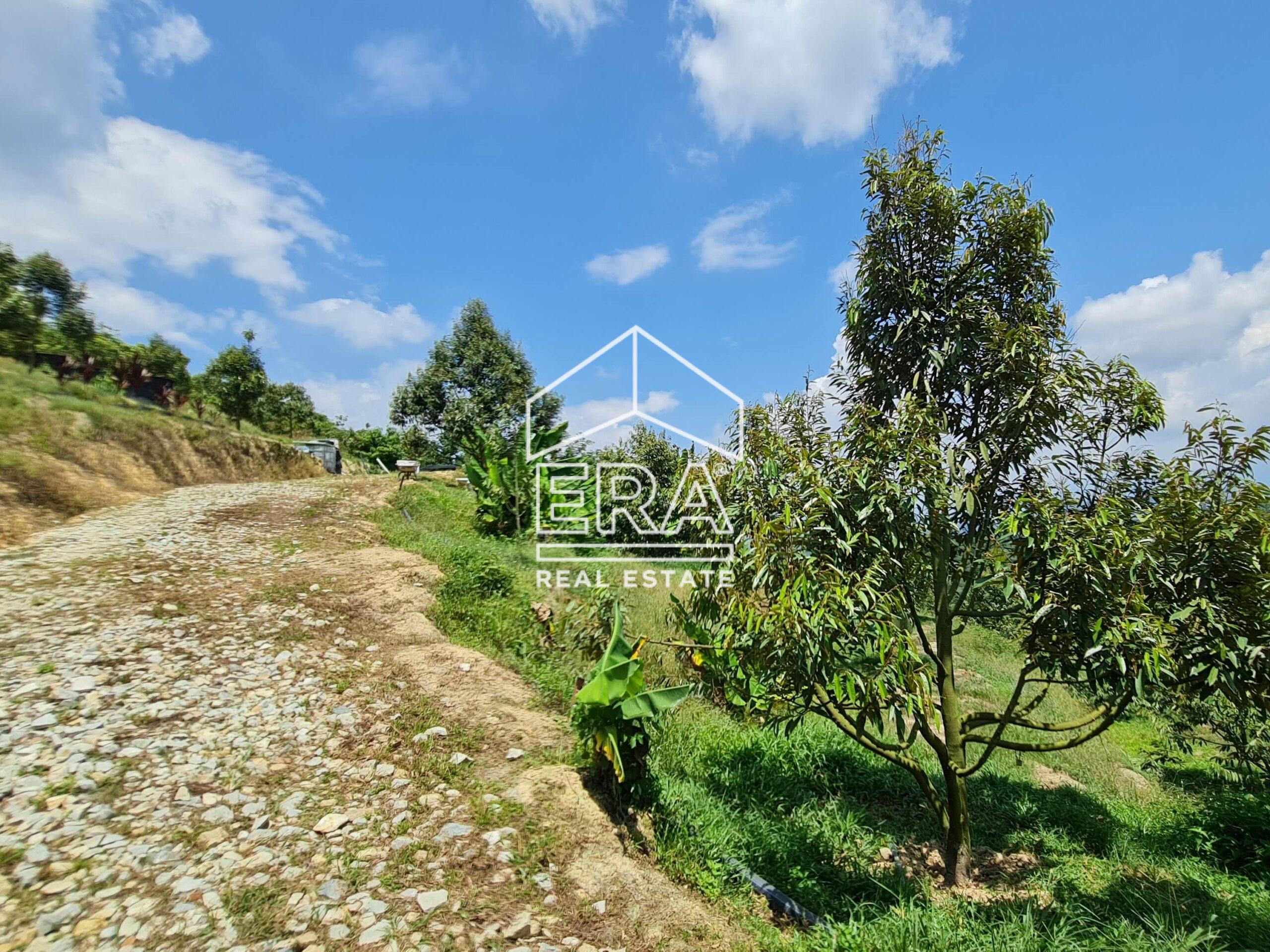 20220817_122256-crushimage_cropped-scaled-1