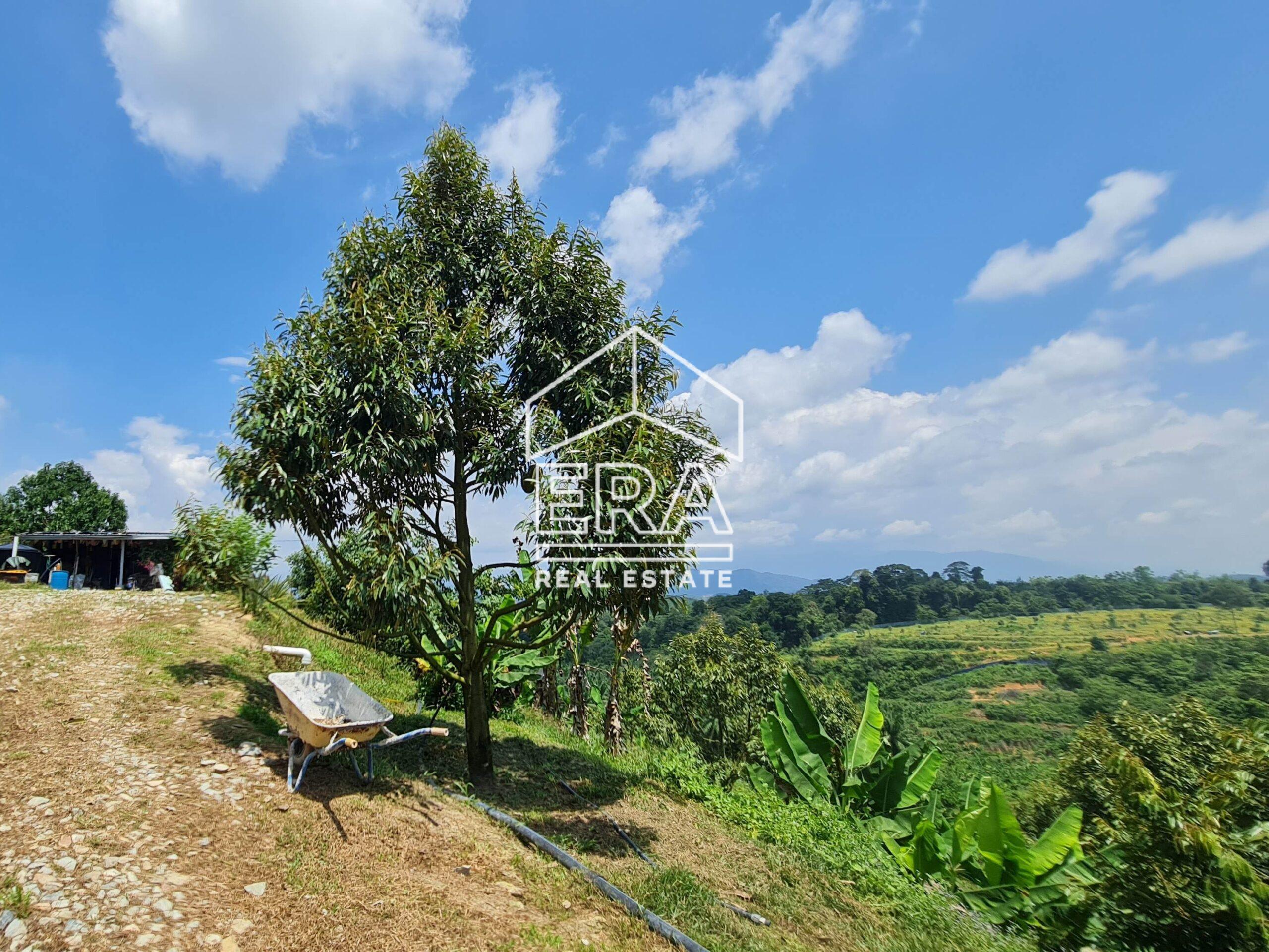 20220817_122758-crushimage_cropped-scaled-1