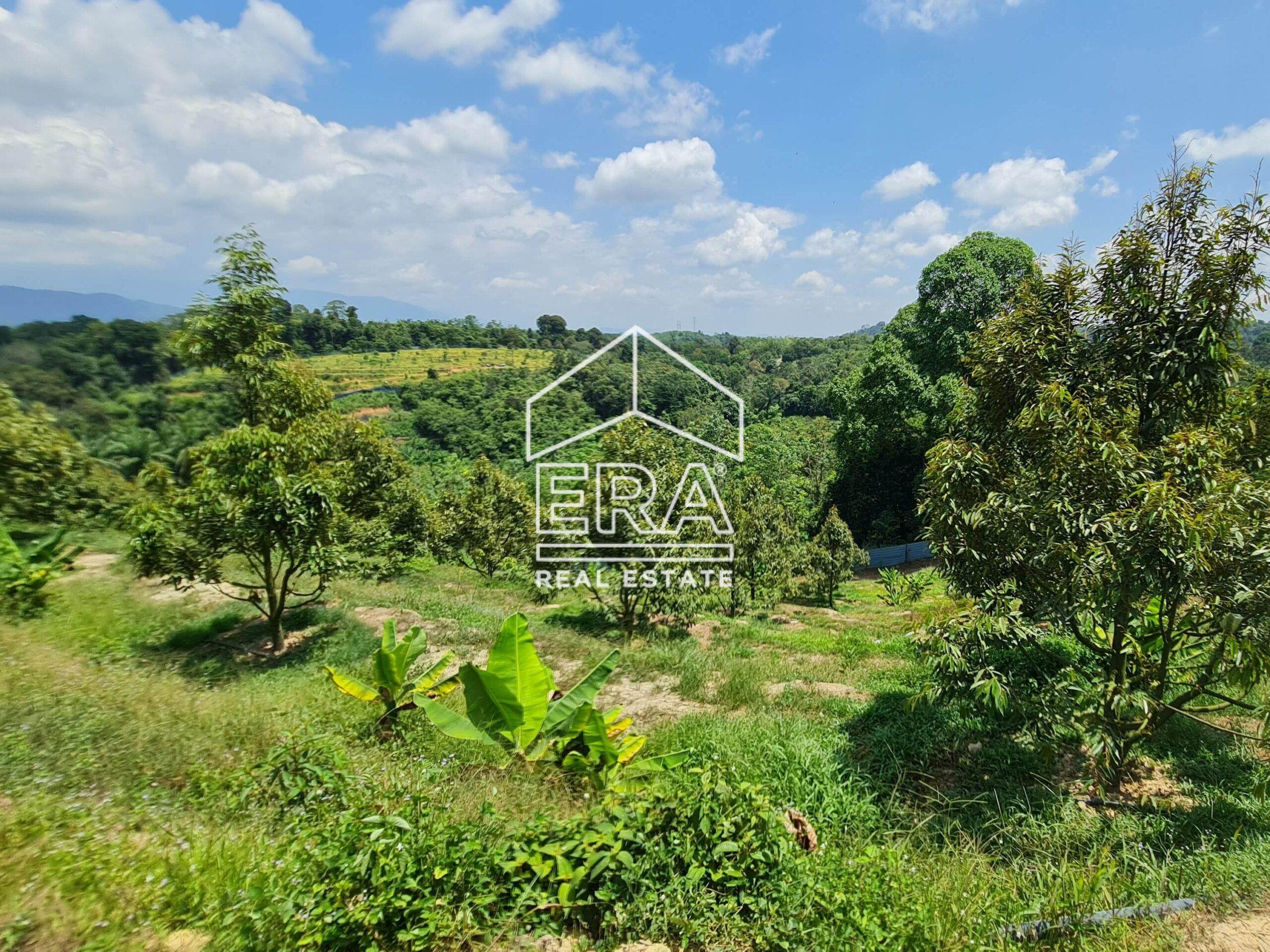 20220817_122825-crushimage_cropped-scaled-1