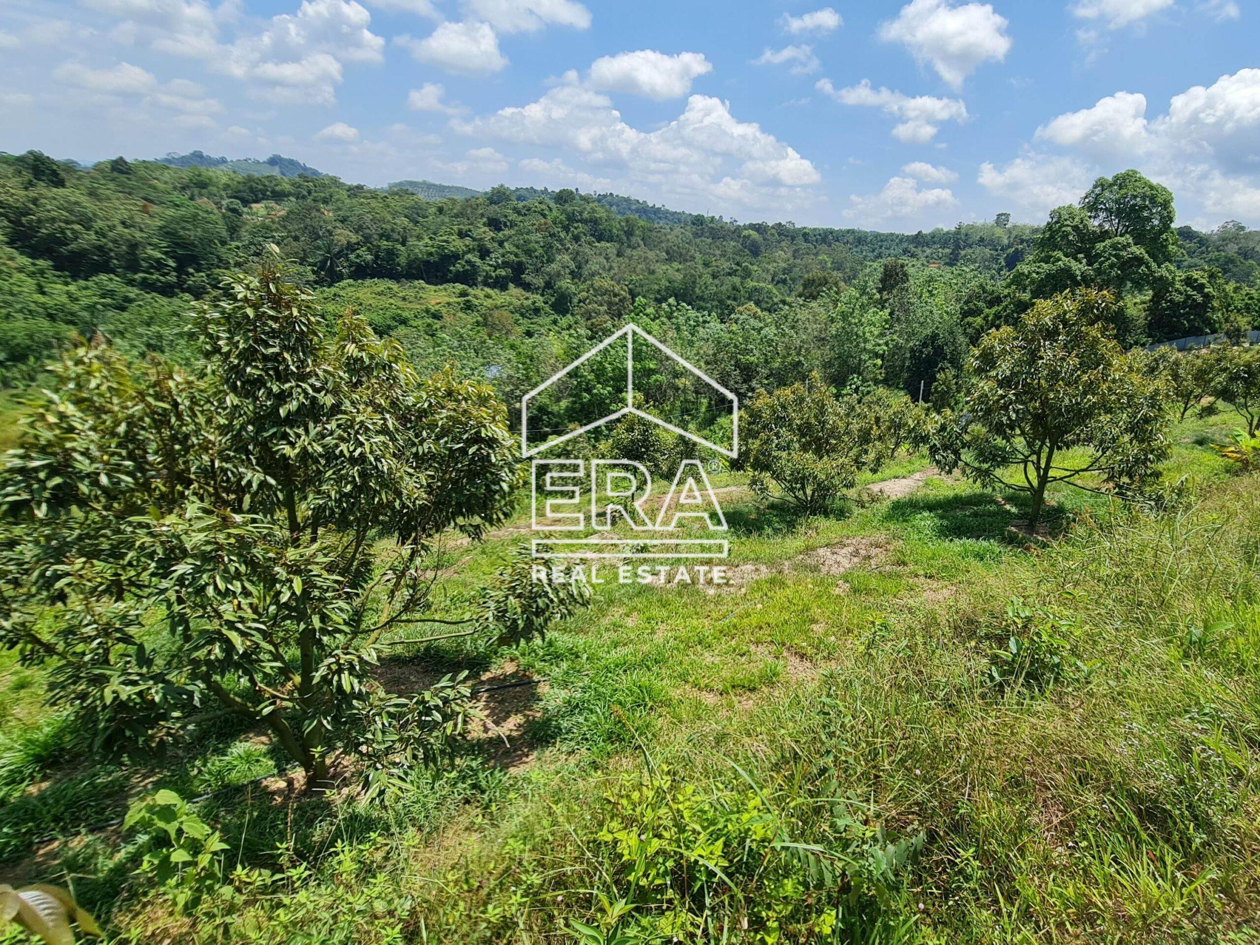 20220817_123851-crushimage_cropped-scaled-1