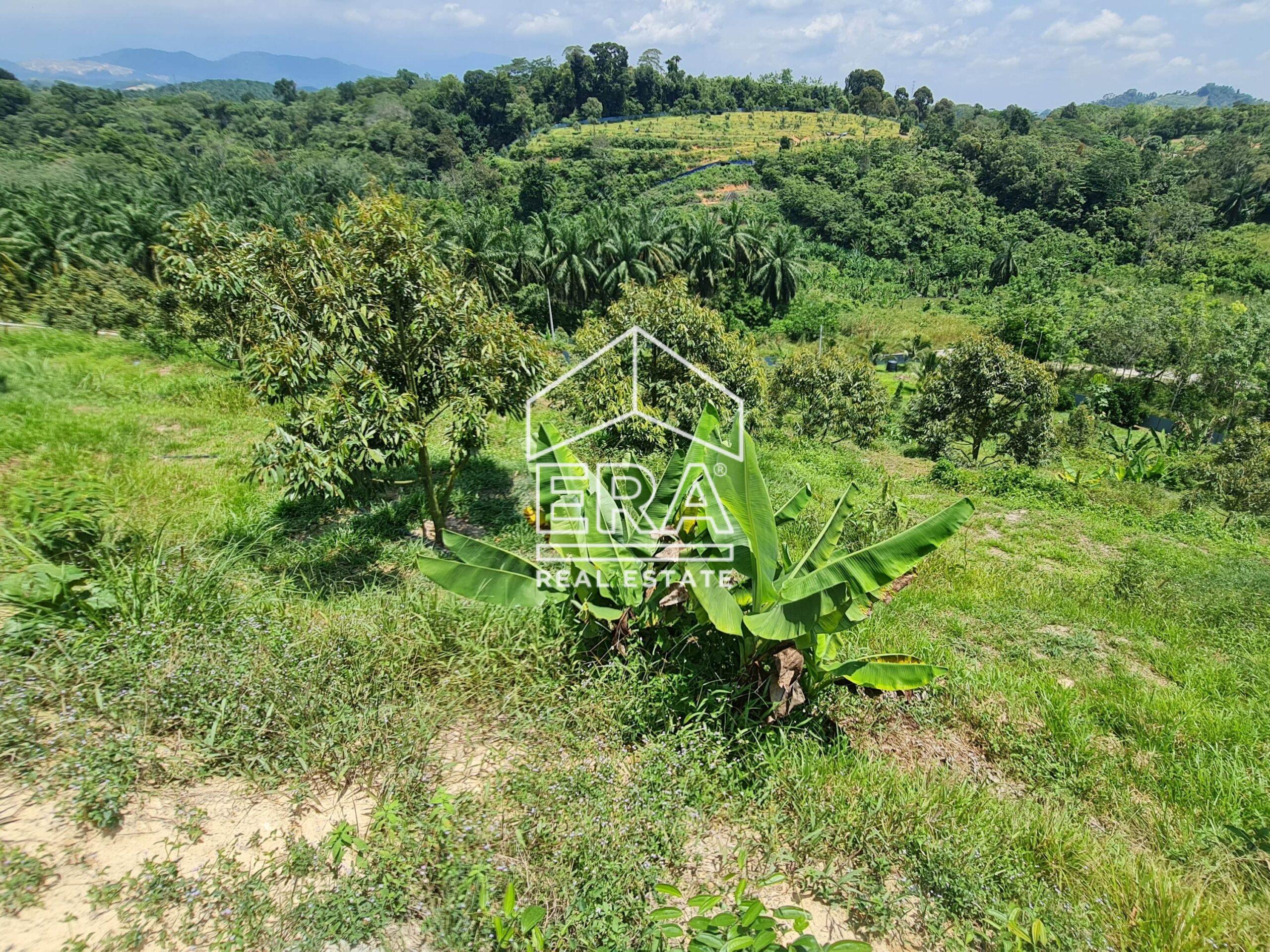 20220817_123909-crushimage_cropped-scaled-1