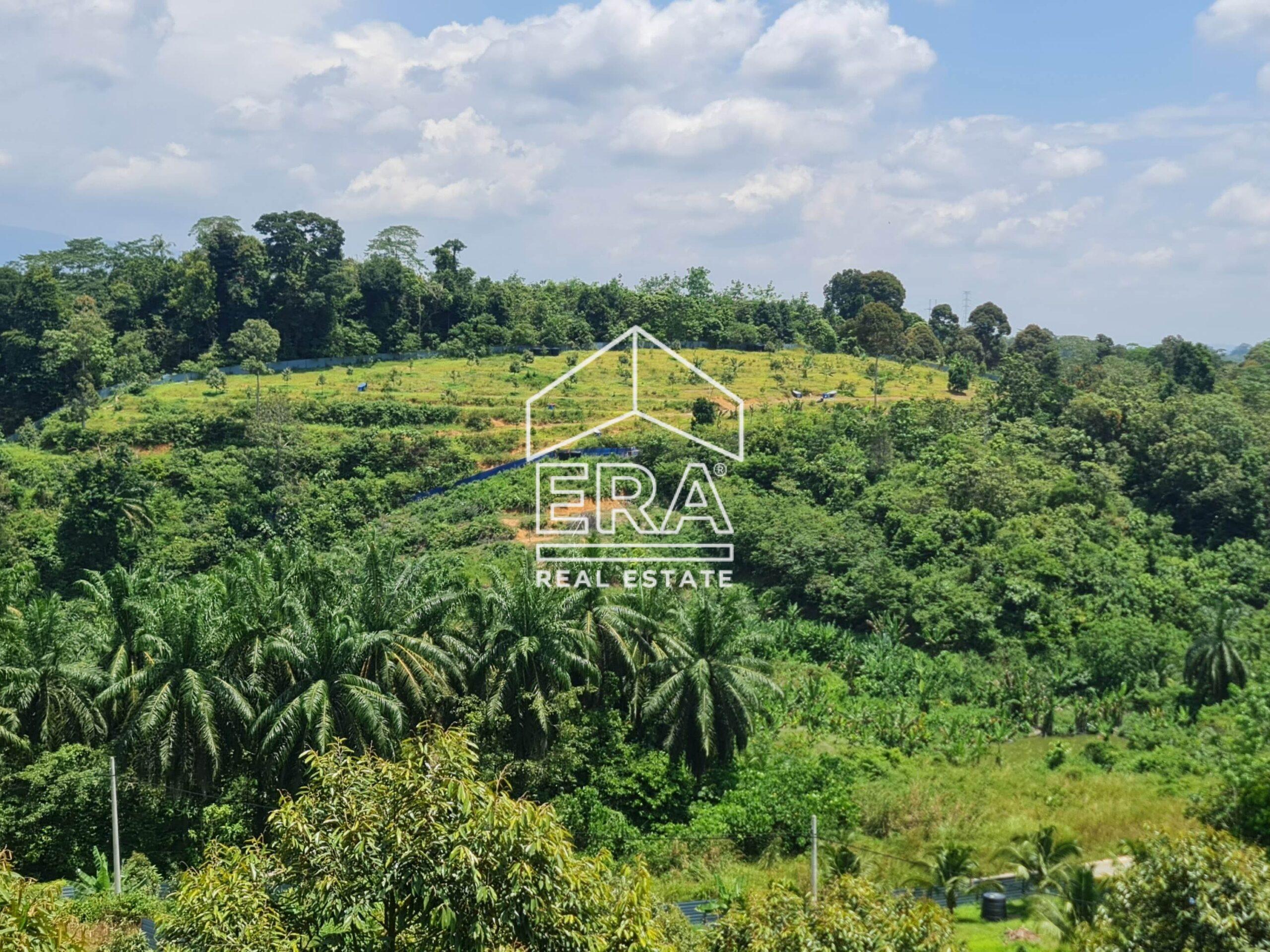 20220817_123917-crushimage_cropped-scaled-1