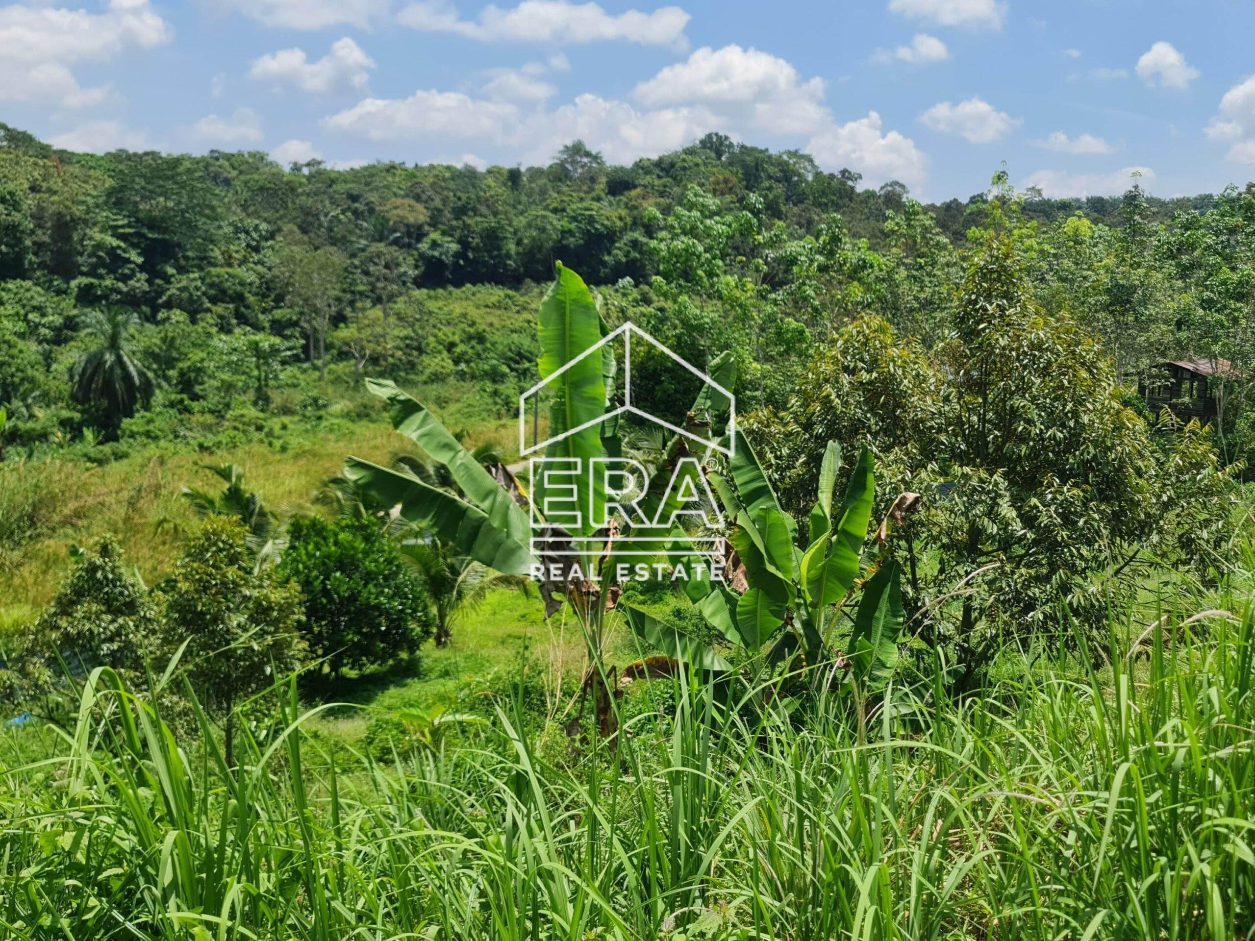 20220817_124216-crushimage_cropped-scaled-1