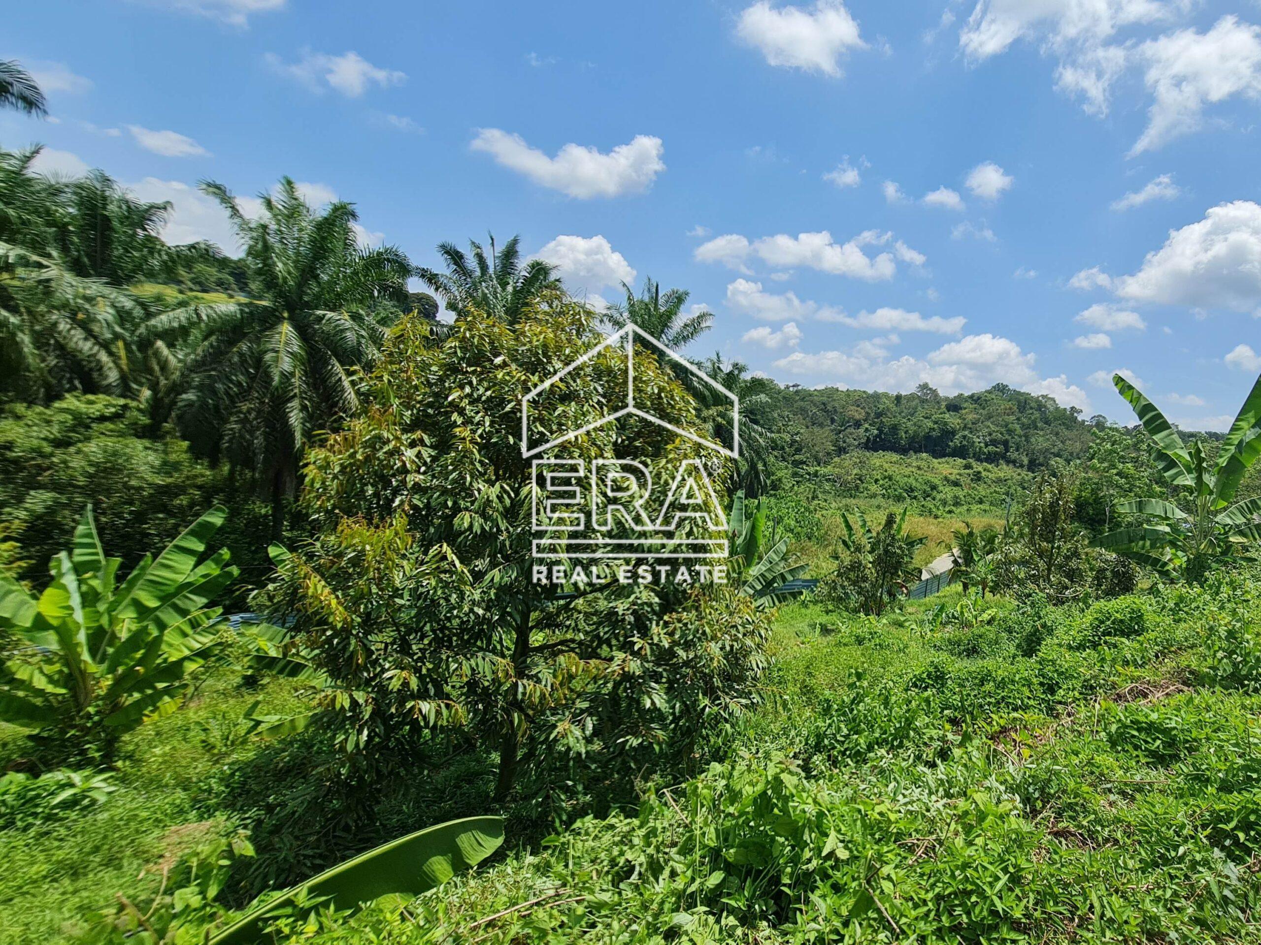 20220817_124231-crushimage_cropped-scaled-1