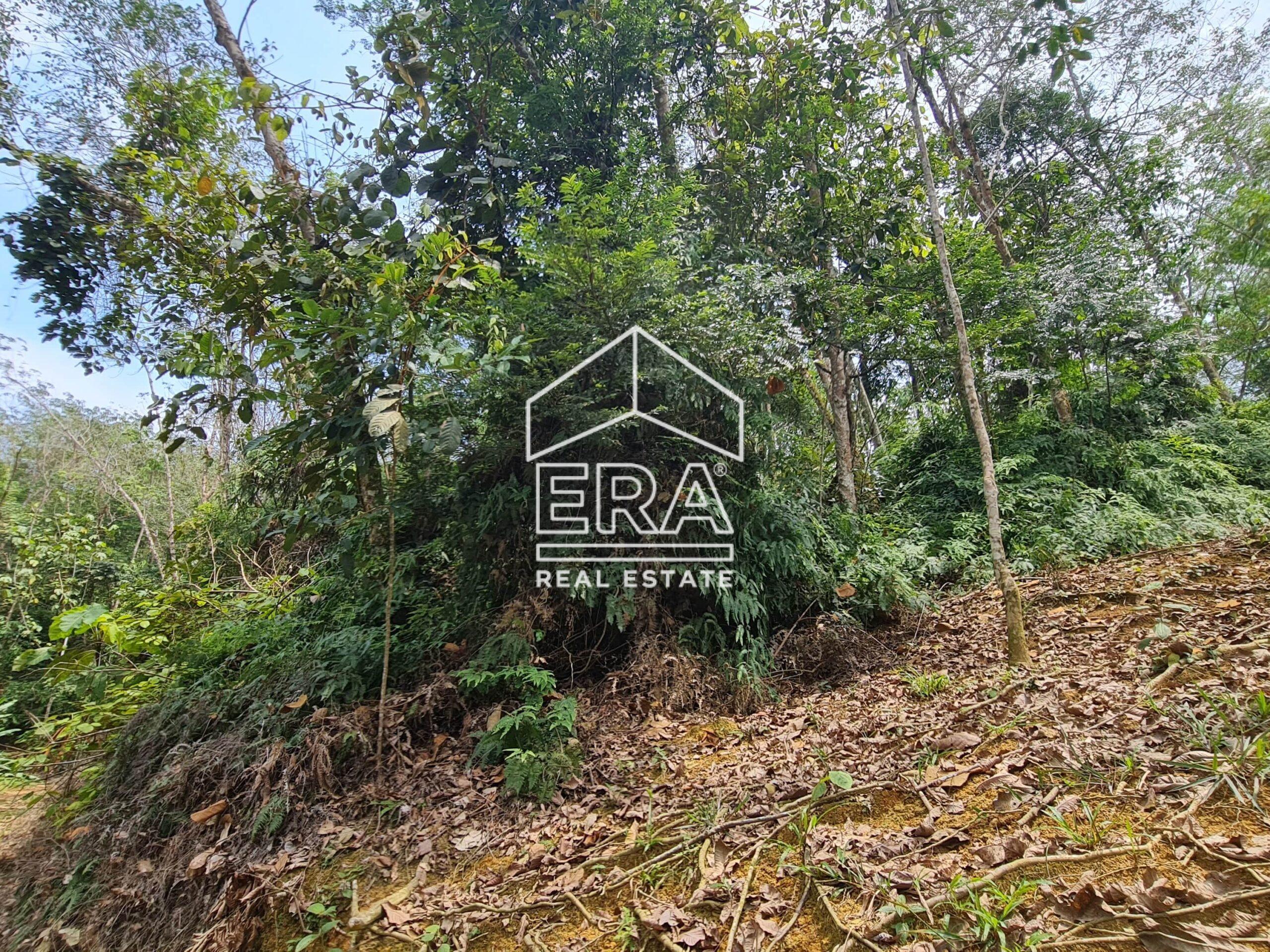 20220818_140324-min_cropped-scaled-1