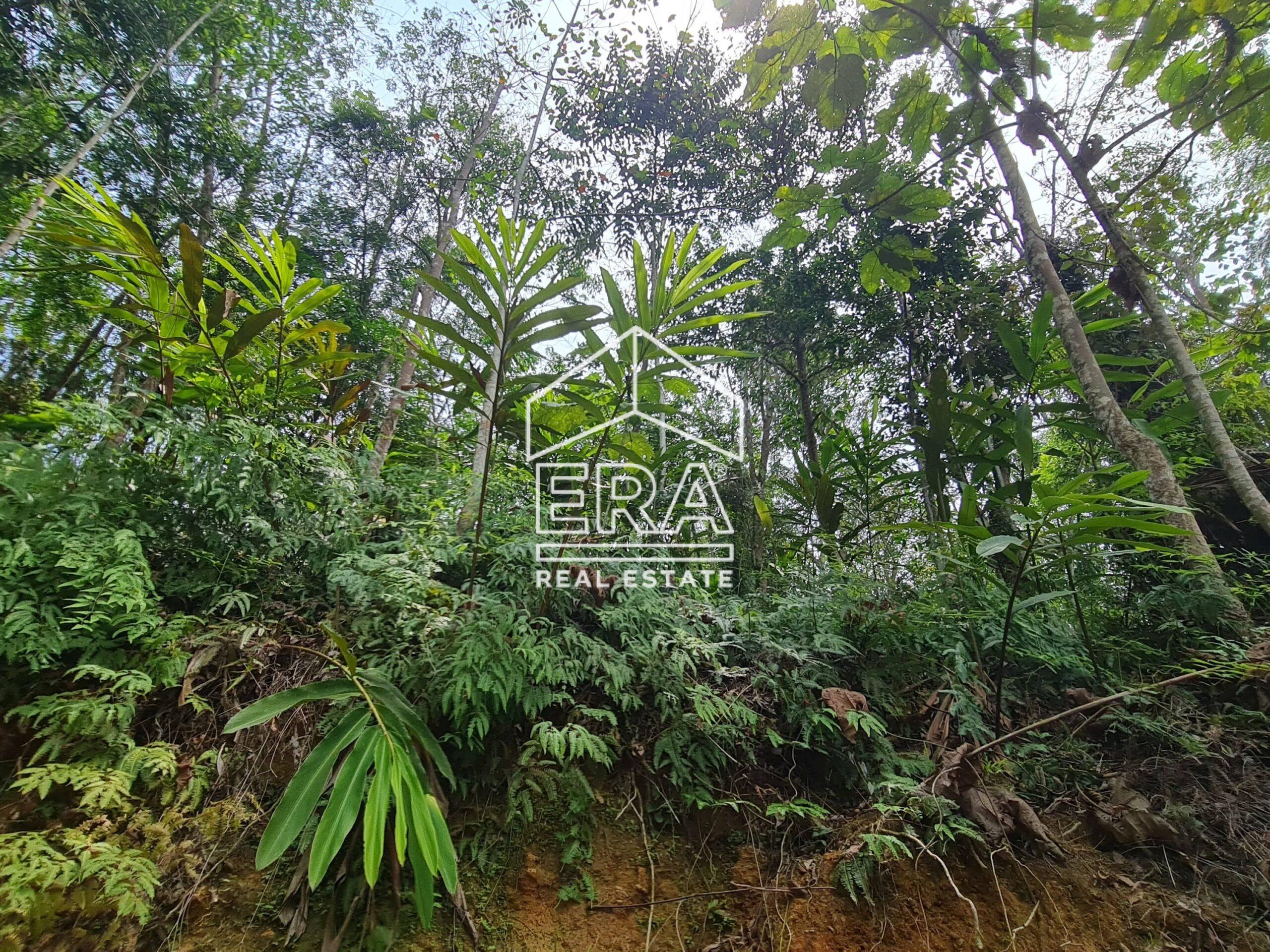 20220818_140411-min_cropped-scaled-1