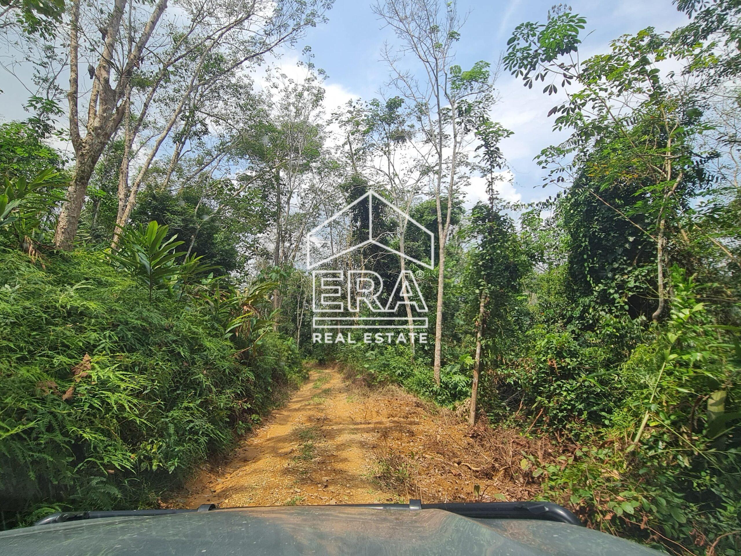 20220818_140647-min_cropped-scaled-1