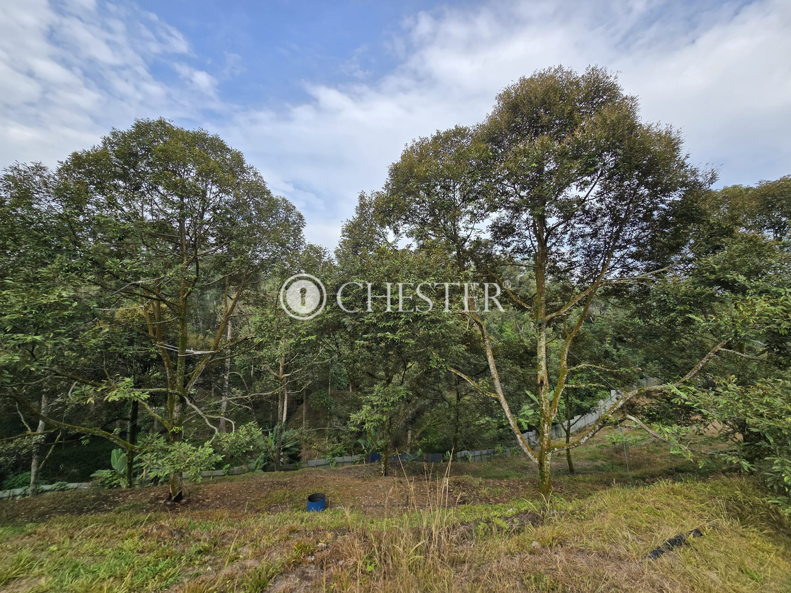 20240927_094737-min-scaled-1