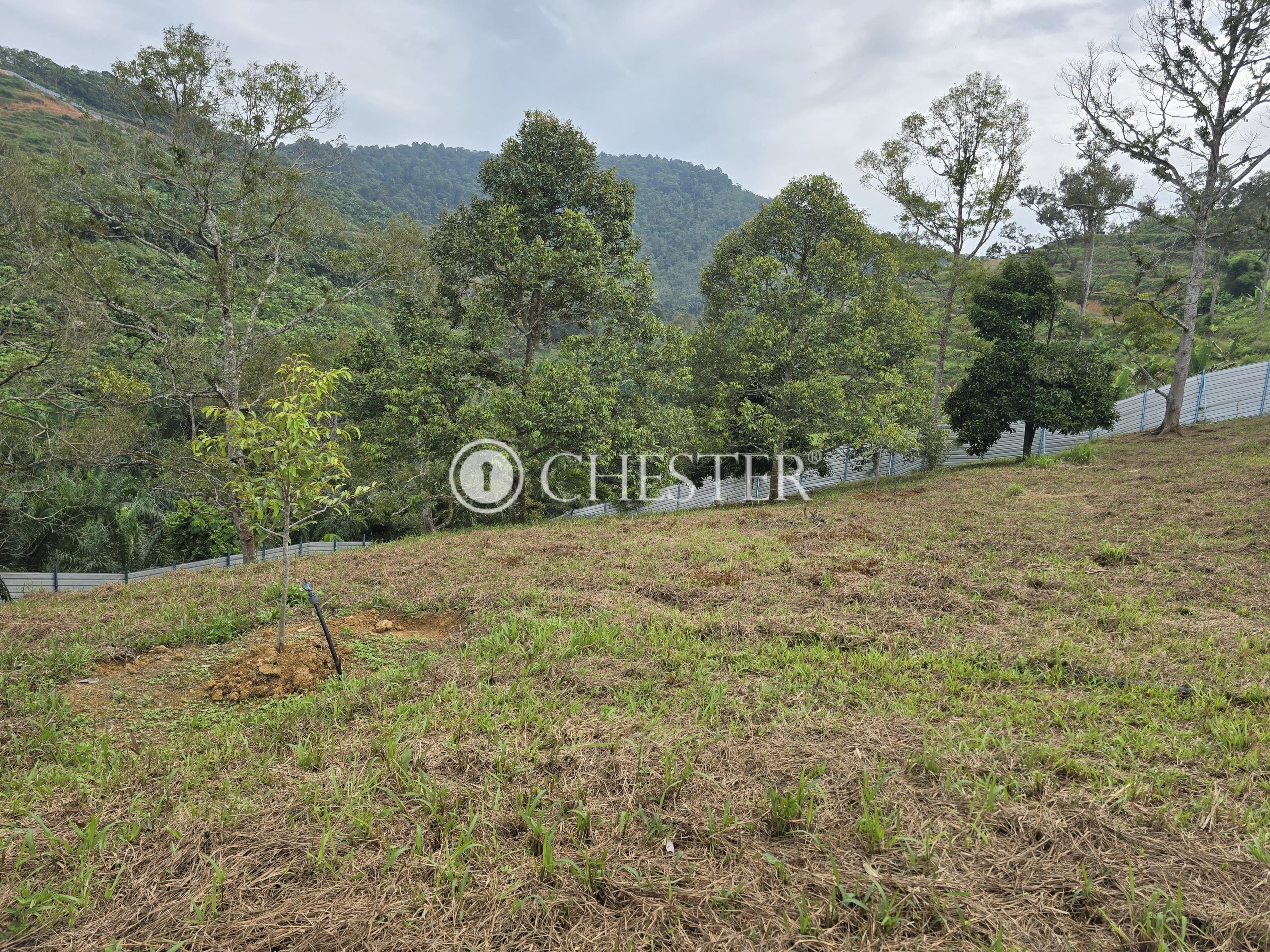 20240927_102027-min-scaled-1