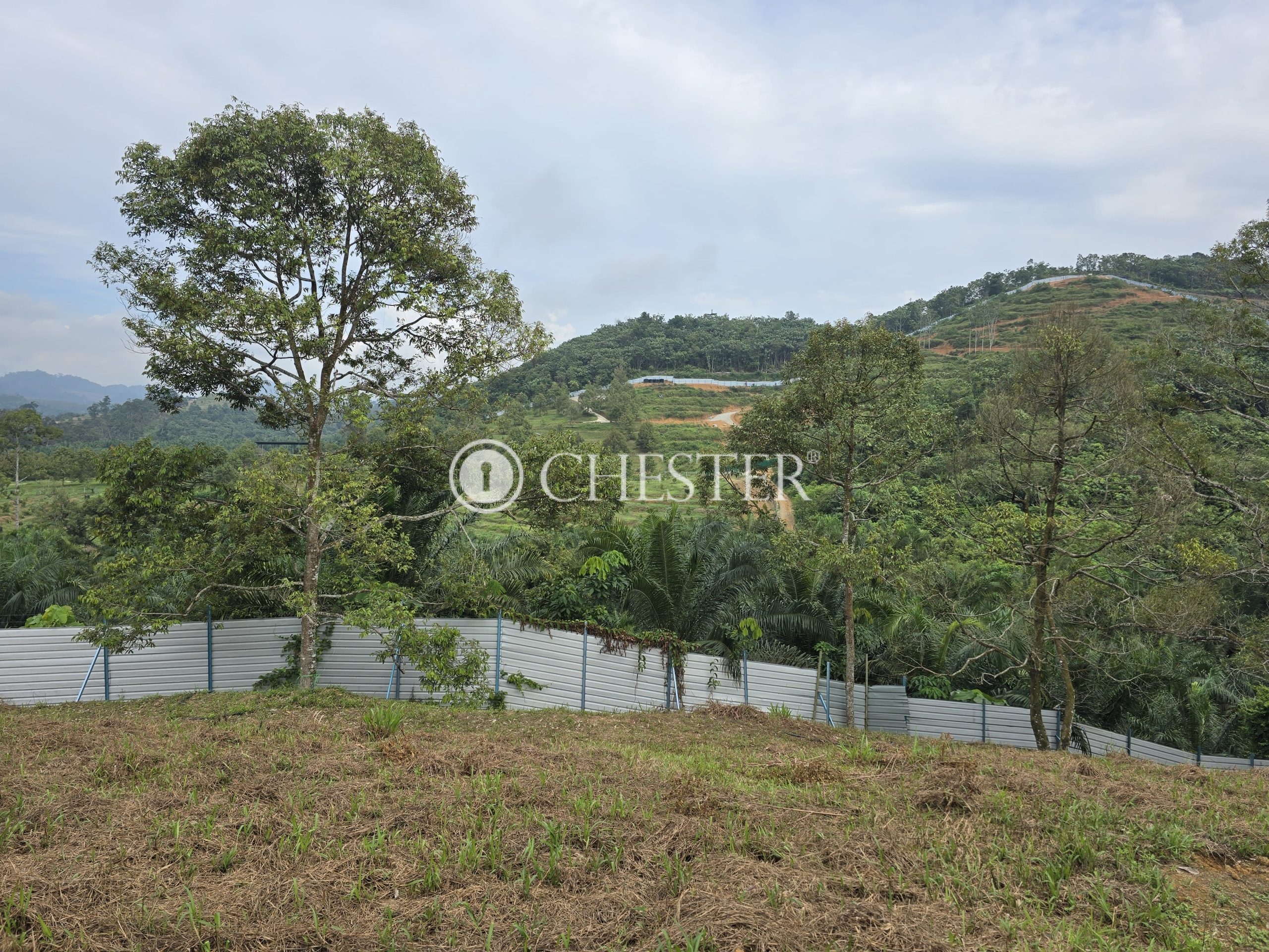 20240927_102030-min-scaled-1