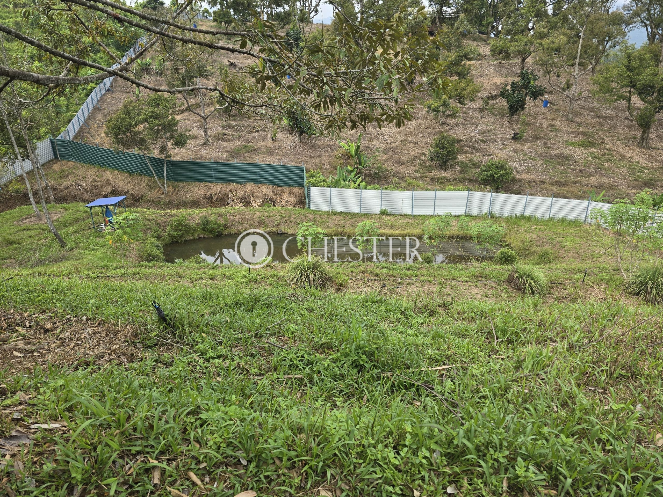 20240927_102523-min-scaled-1