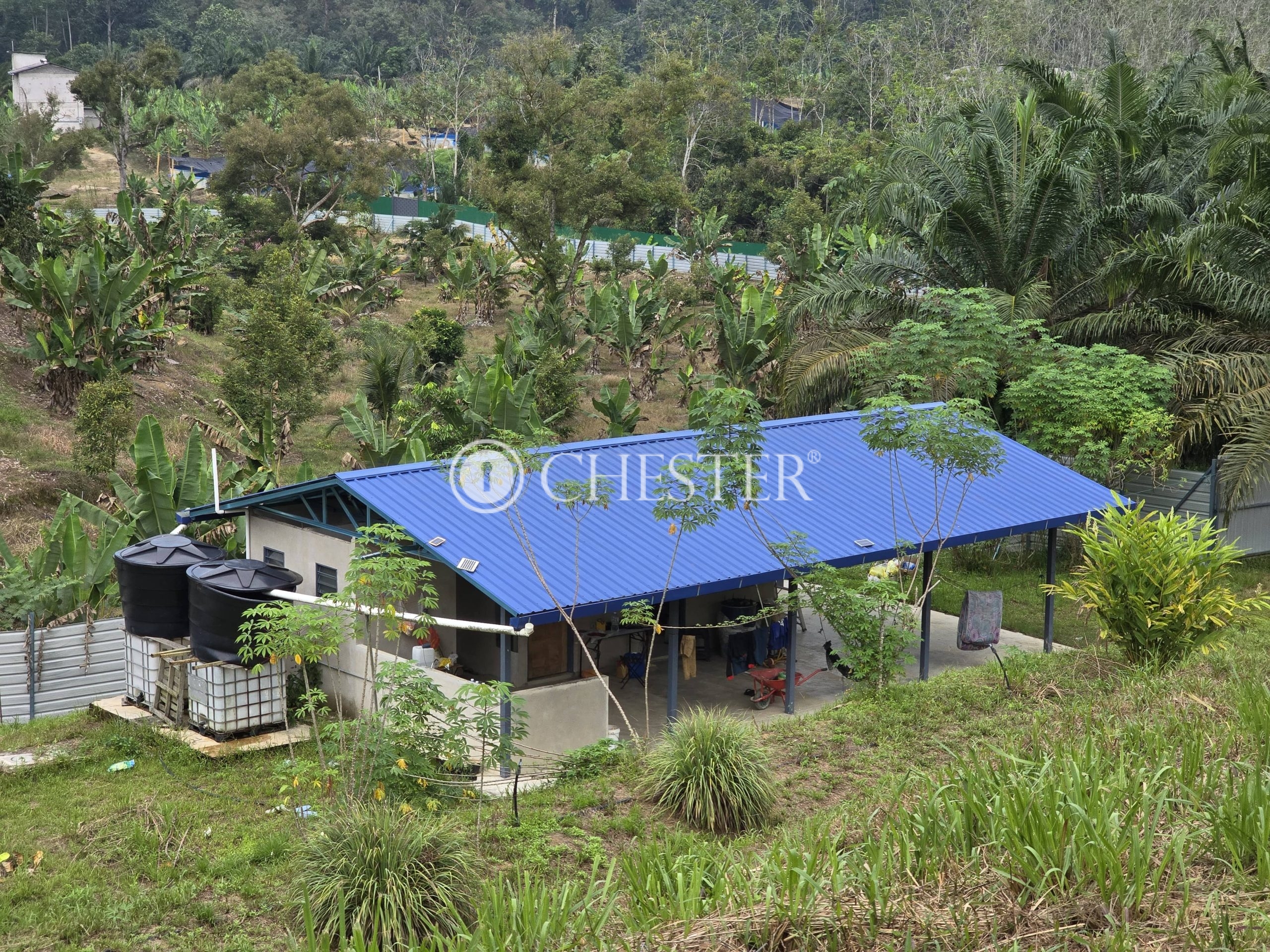 20240927_102531-min-scaled-1