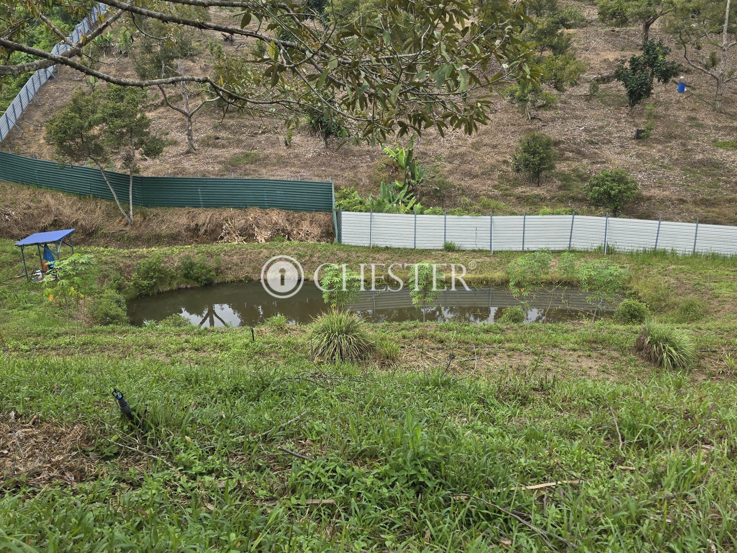 20240927_102537-min-scaled-1