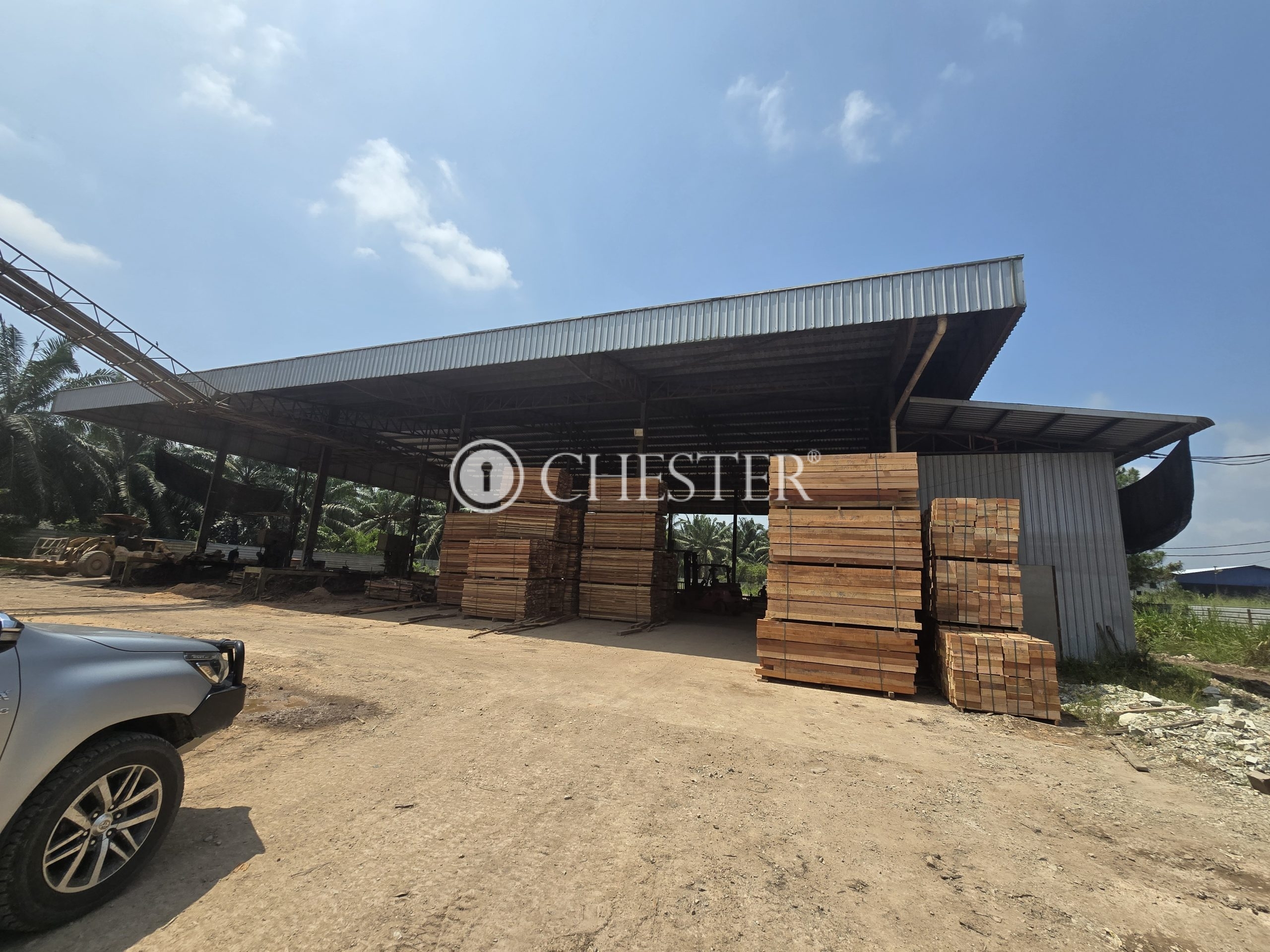 20250327_115606-scaled-1