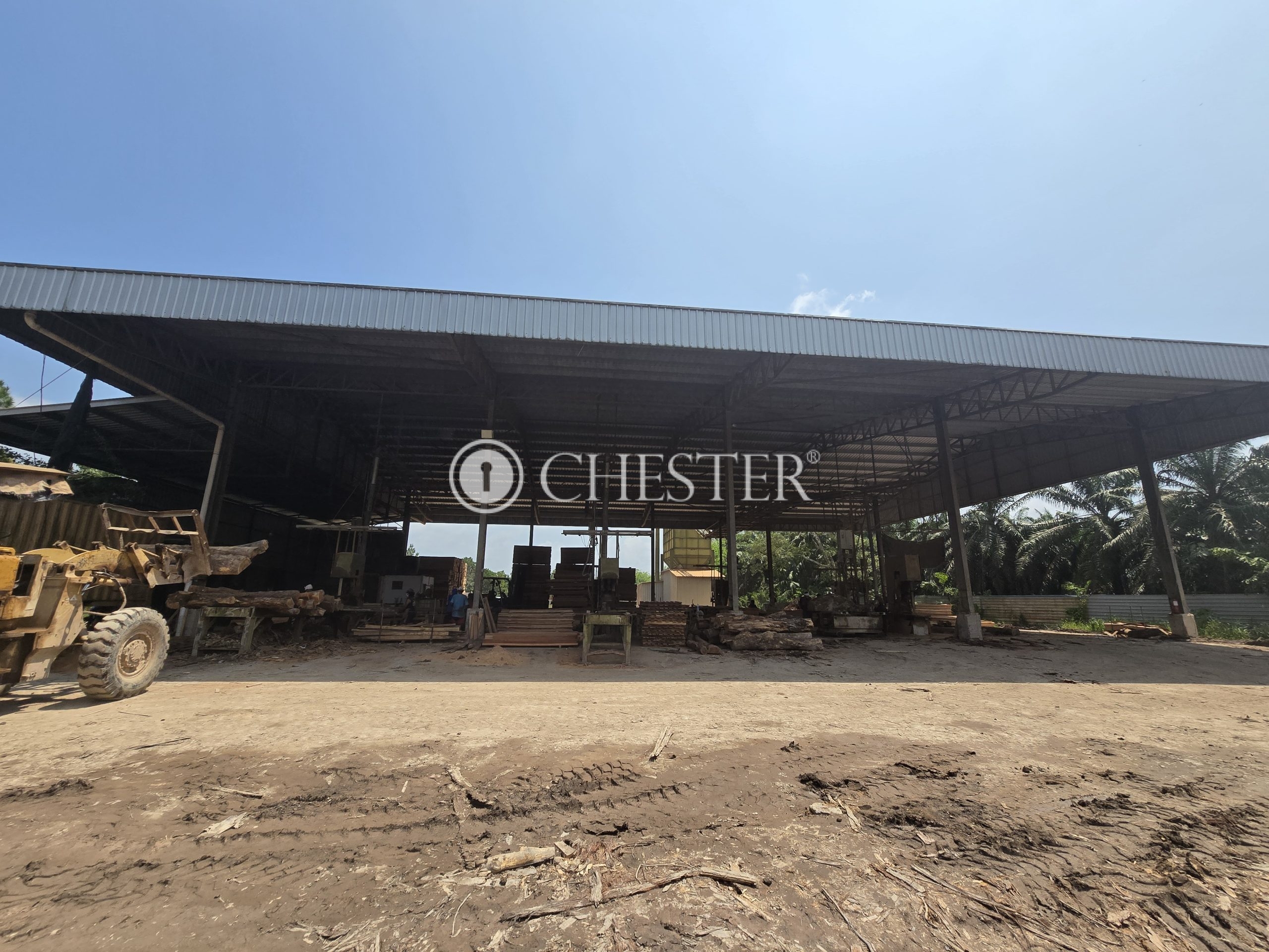 20250327_115946-scaled-1