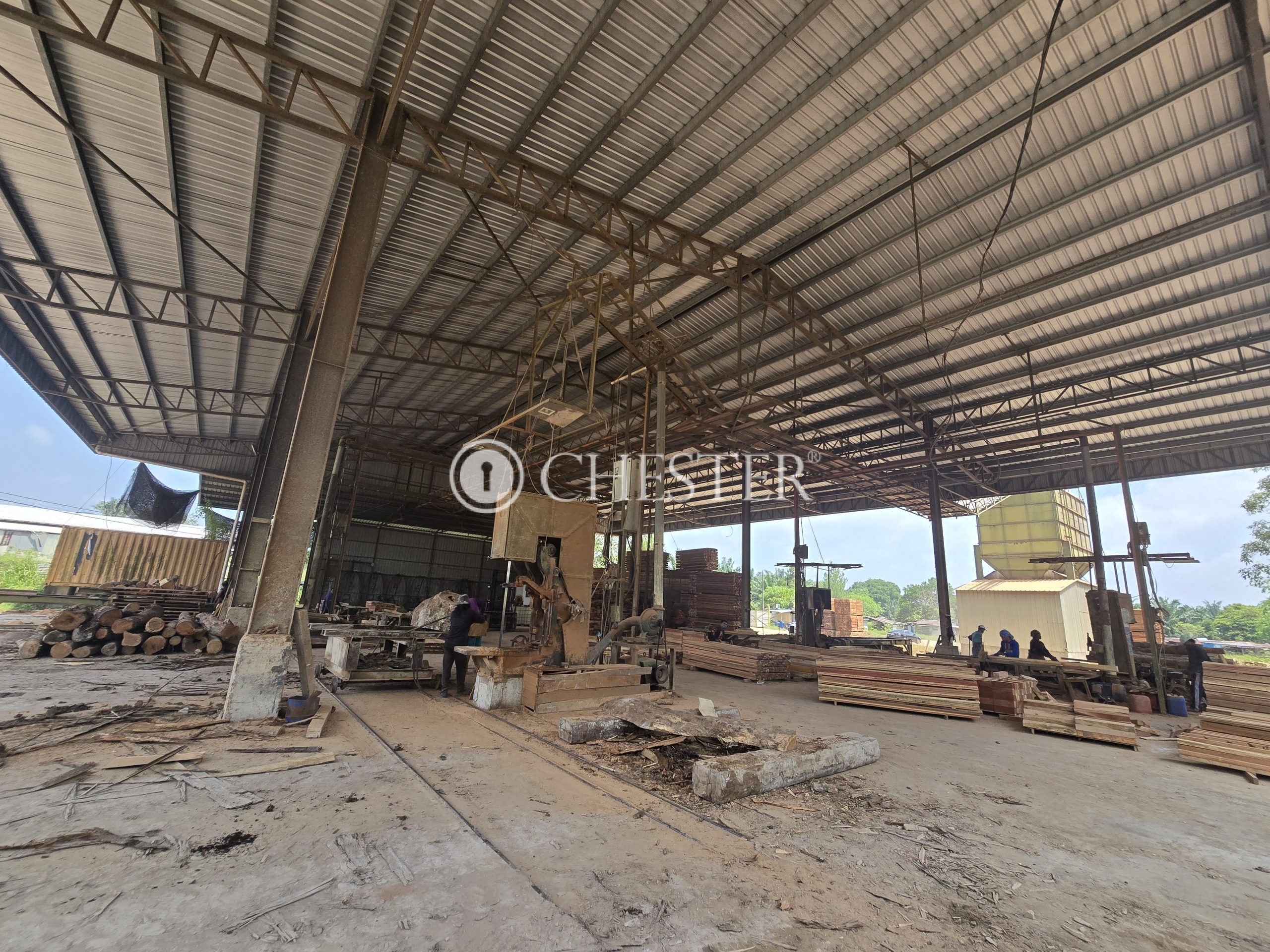 20250327_120221-scaled-1