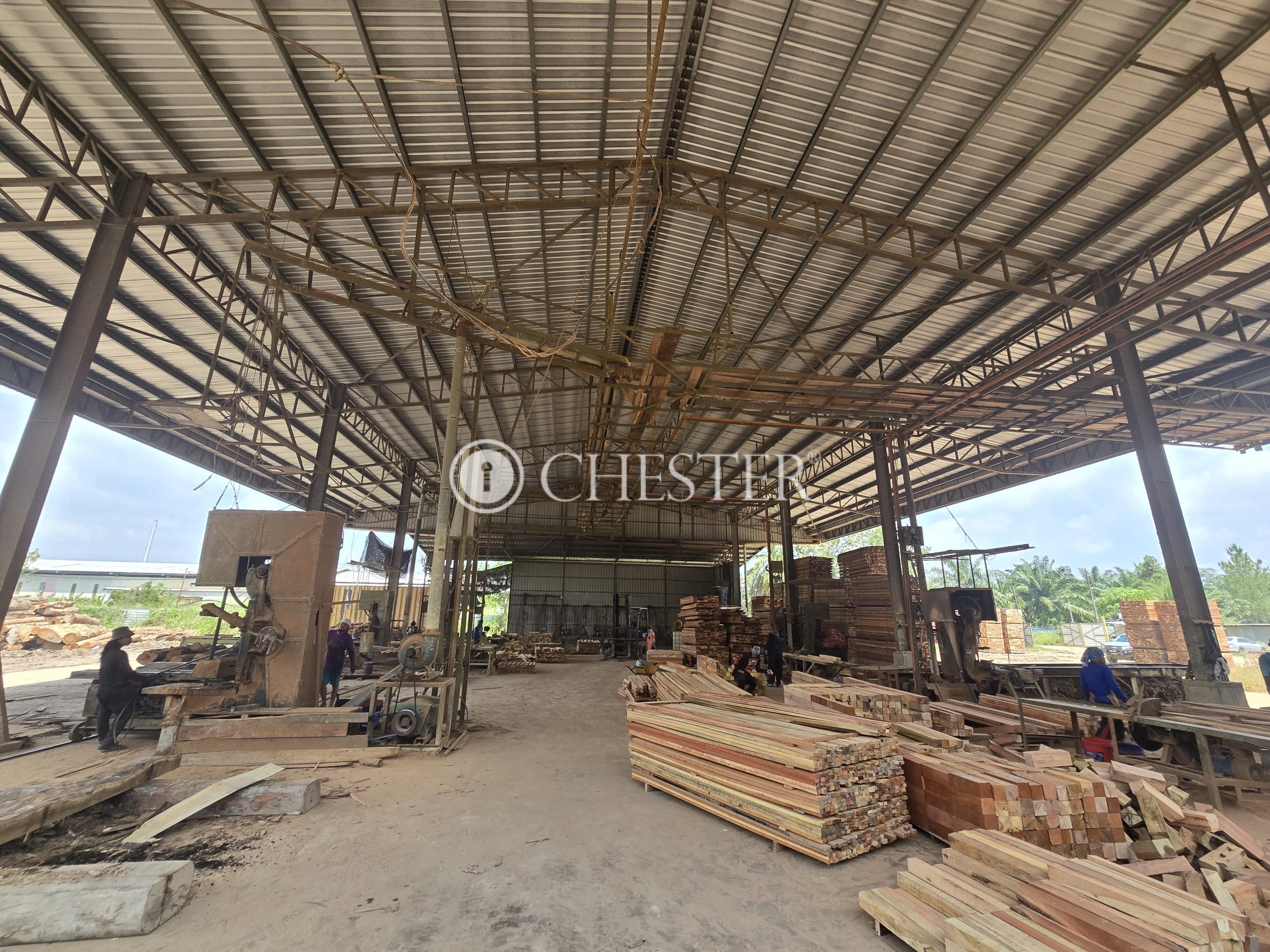 20250327_120252-scaled-1