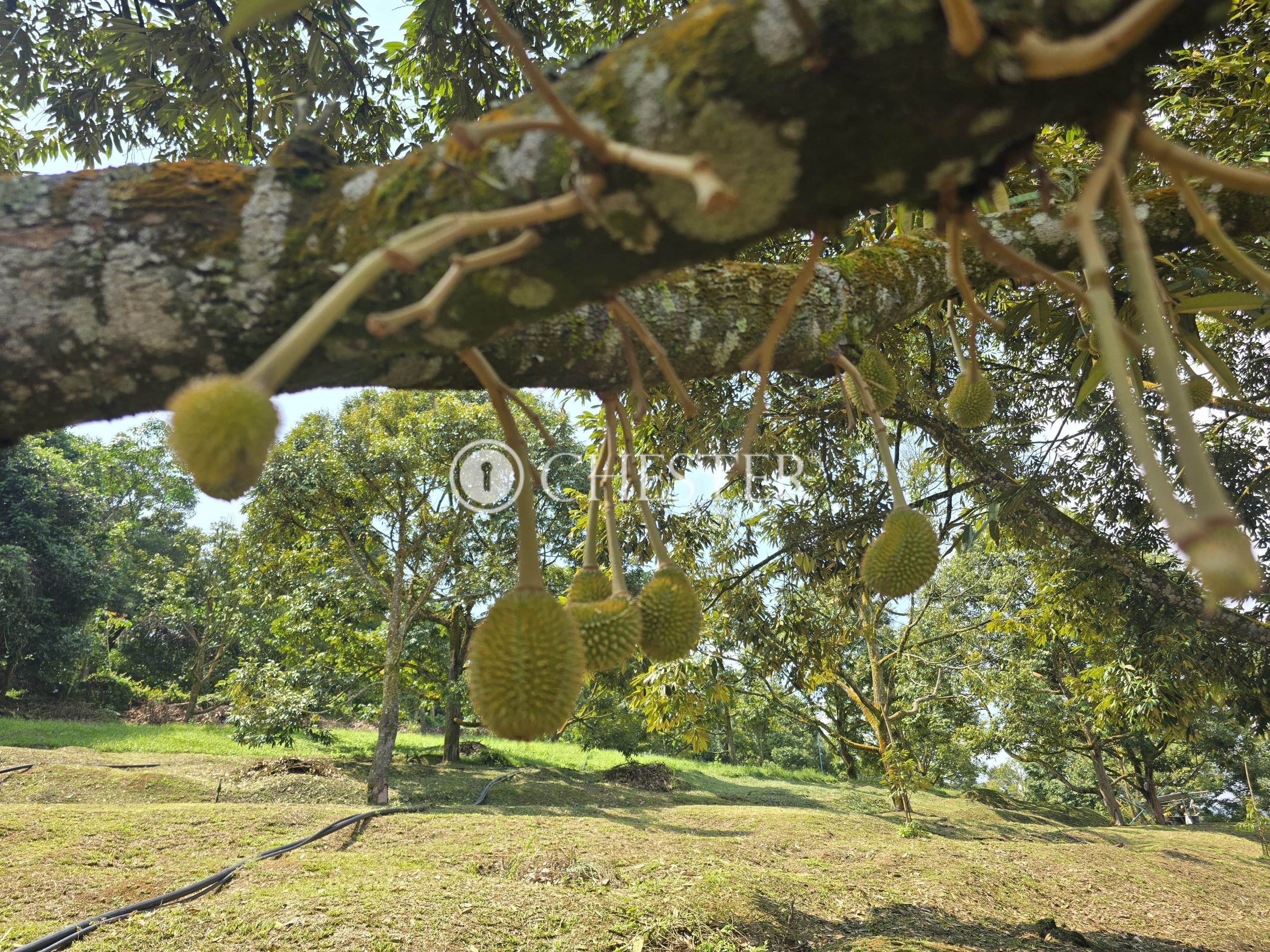 20250507_112109-min-scaled-1