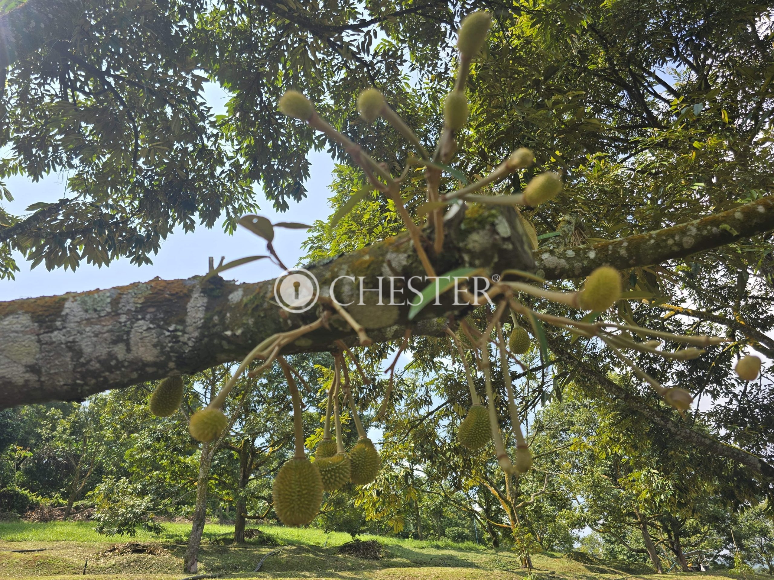 20250507_112115-min-scaled-1