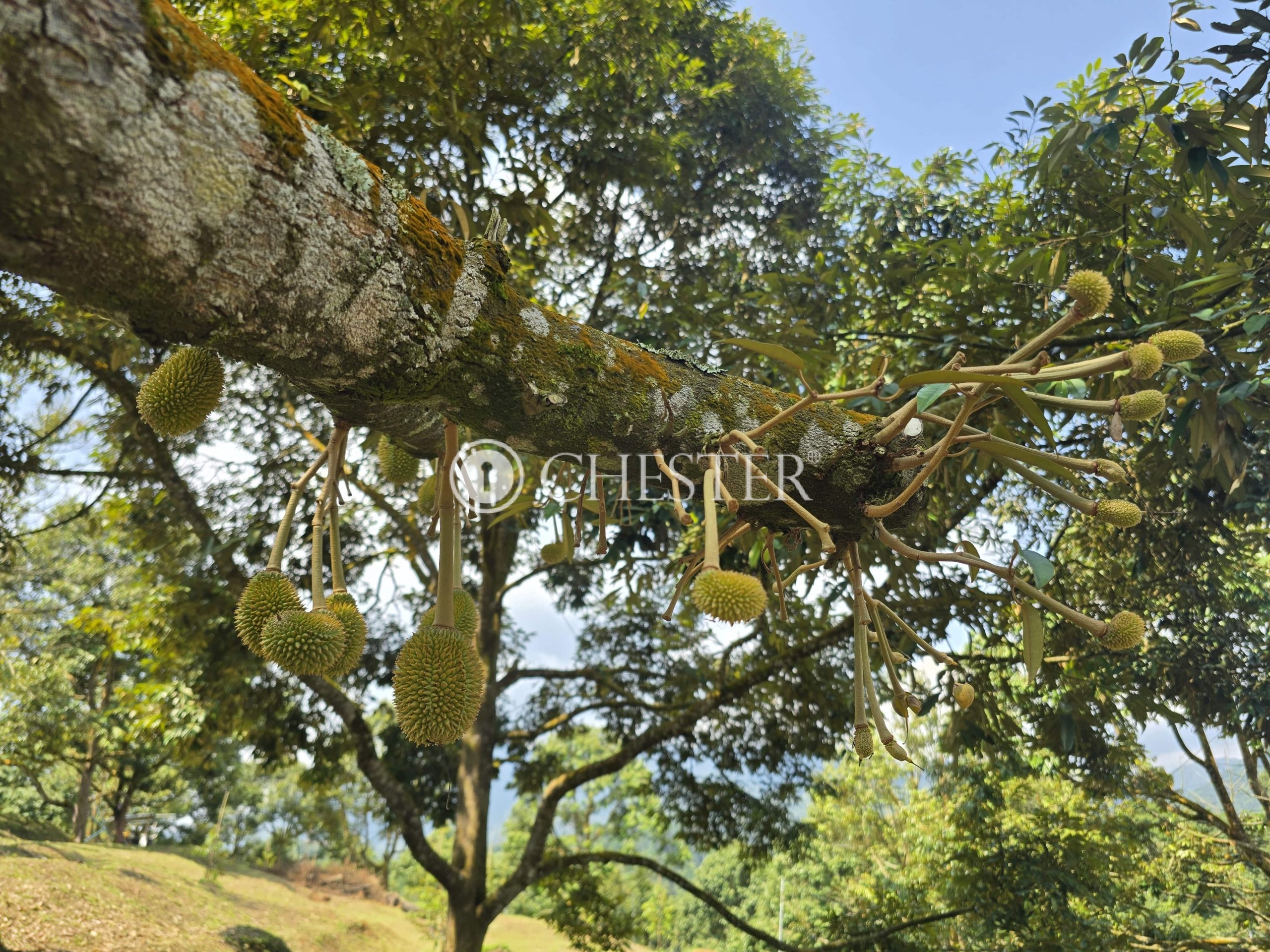 20250507_112133-min-scaled-2