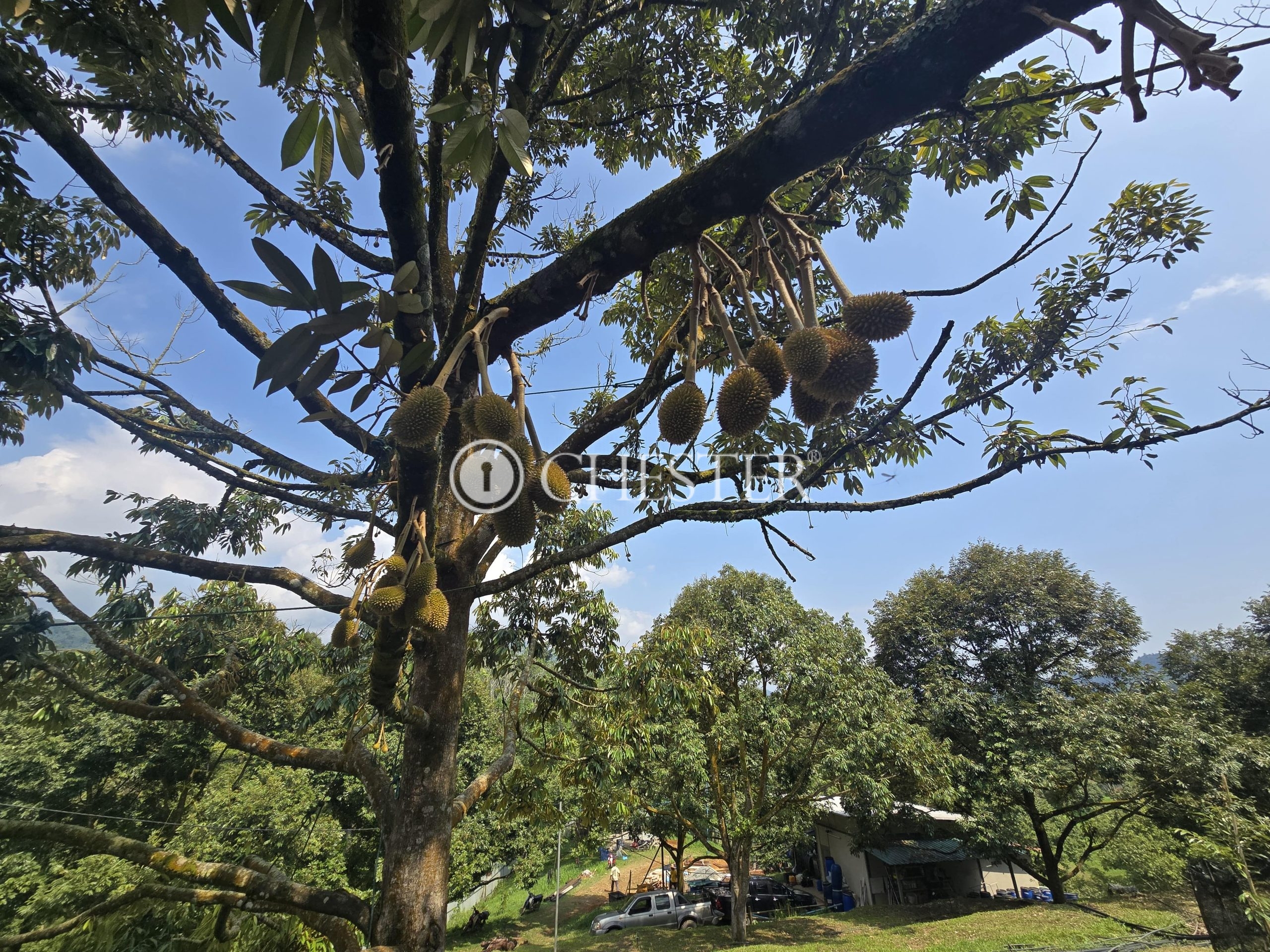 20250507_112611-min-scaled-1