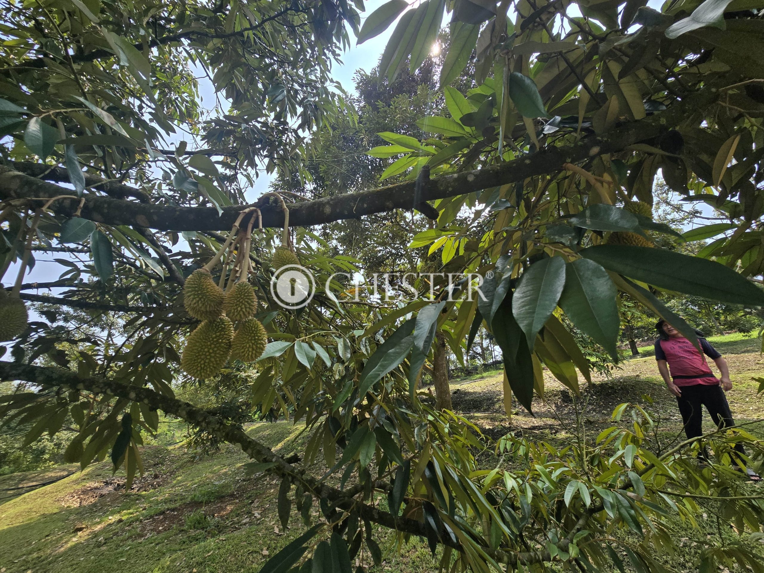 20250507_112635-min-scaled-1