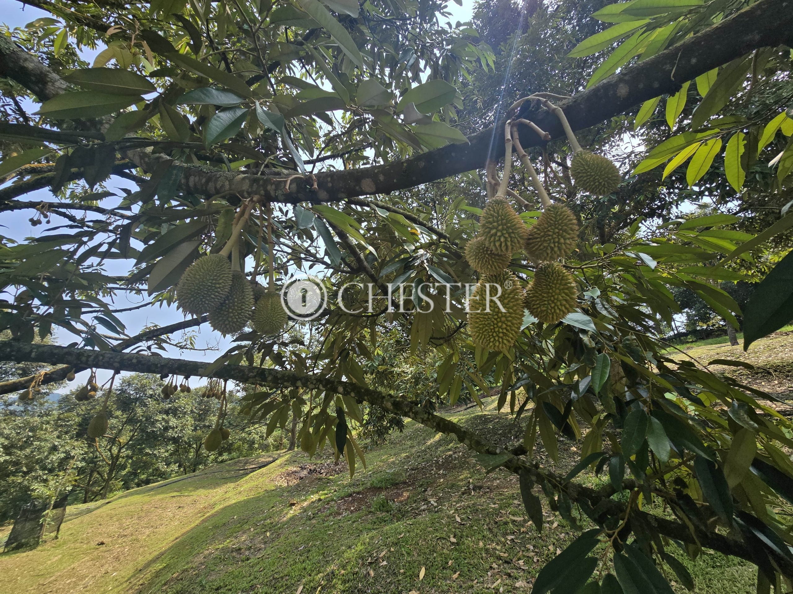 20250507_112638-min-scaled-1