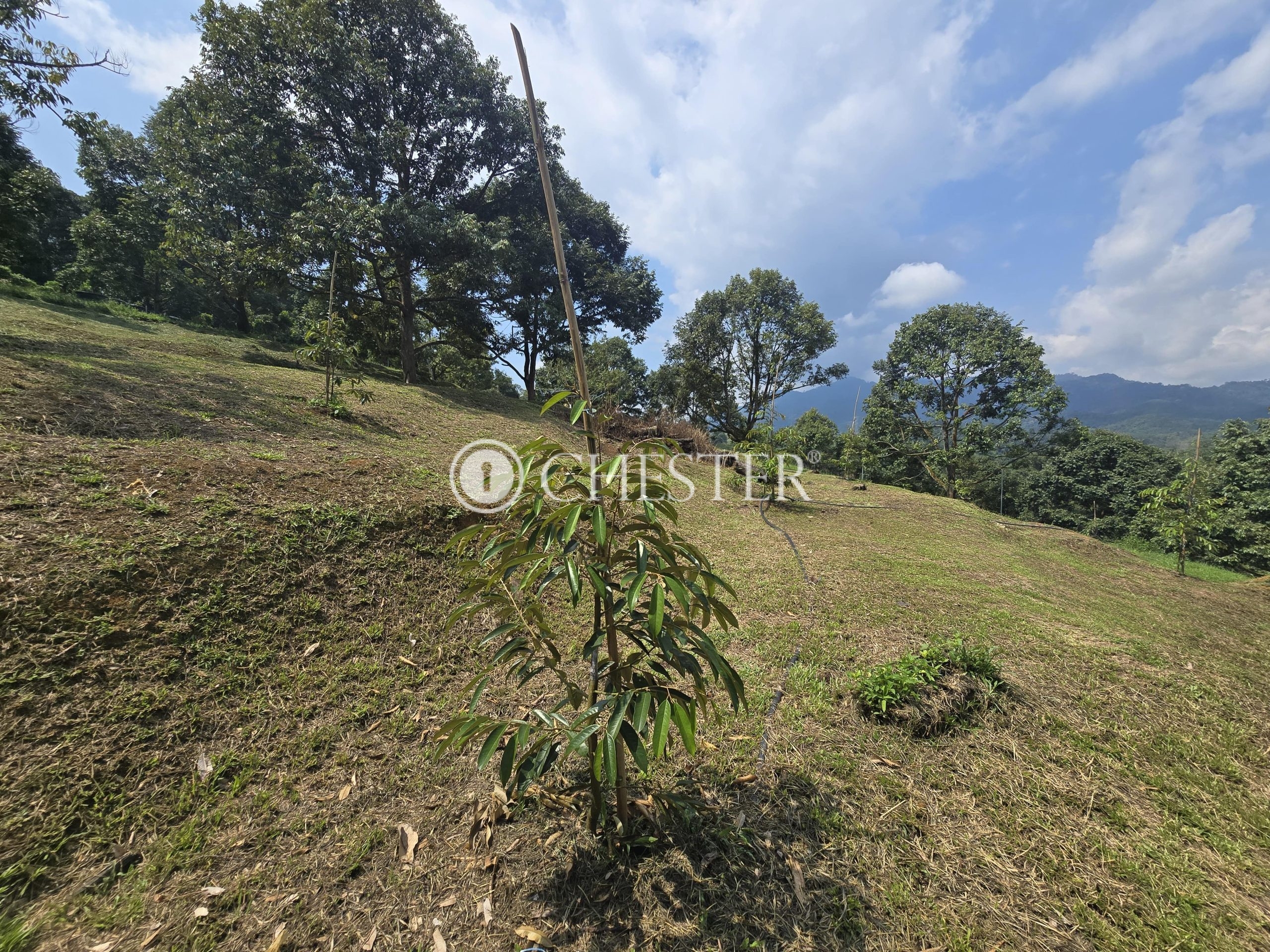 20250507_112730-min-scaled-1