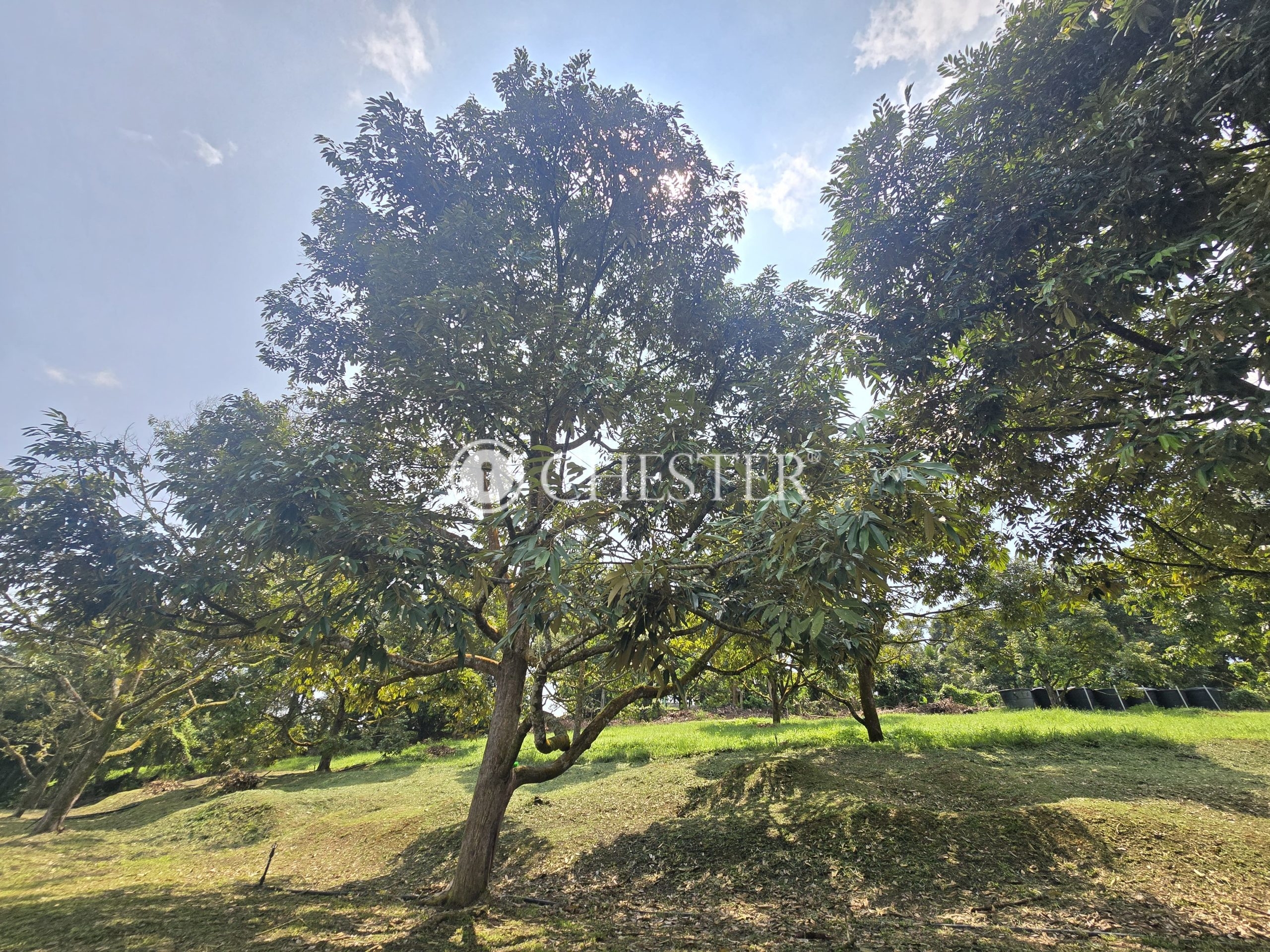 20250507_112919-min-scaled-1