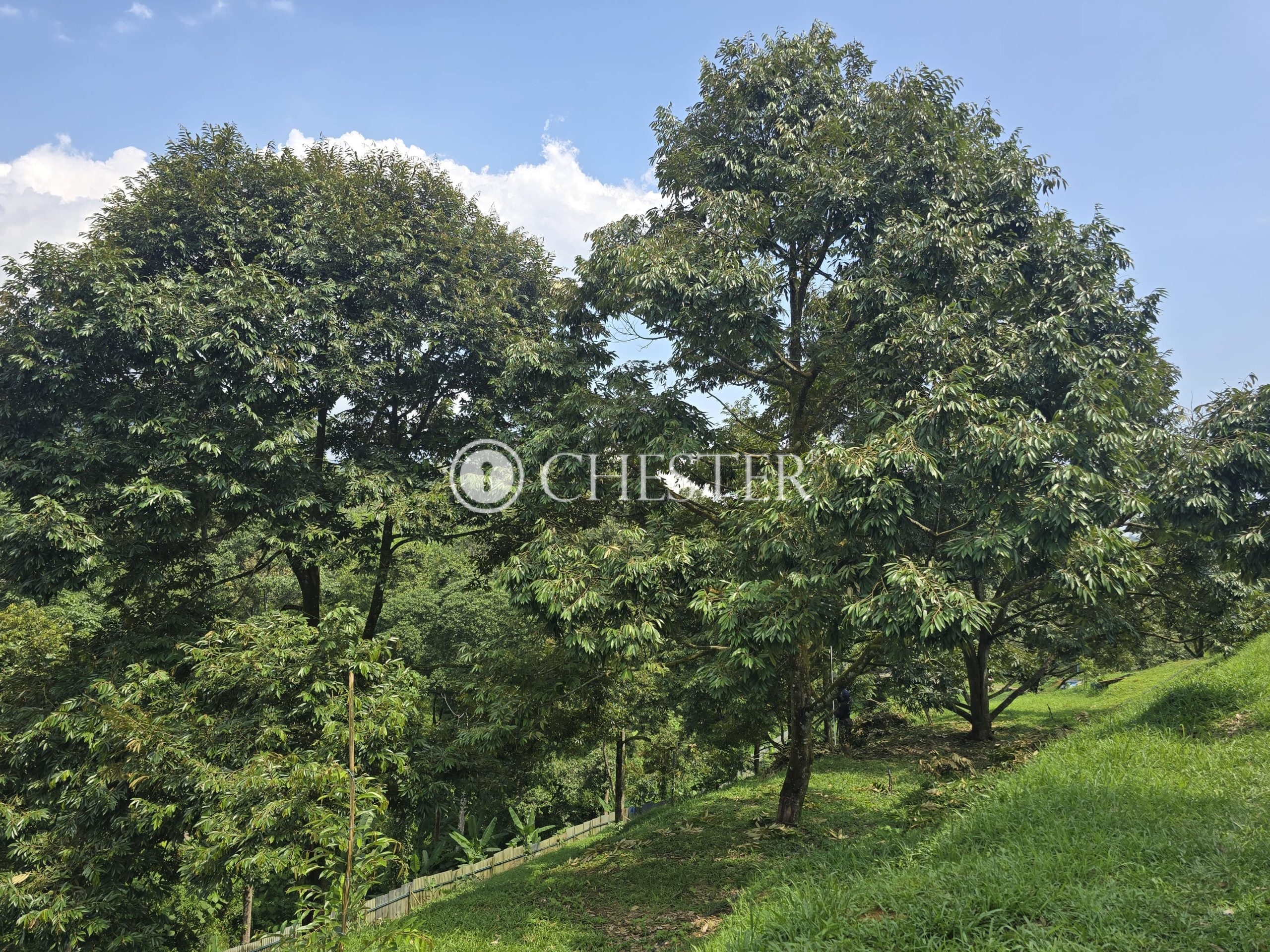 20250507_114249-min-scaled-1