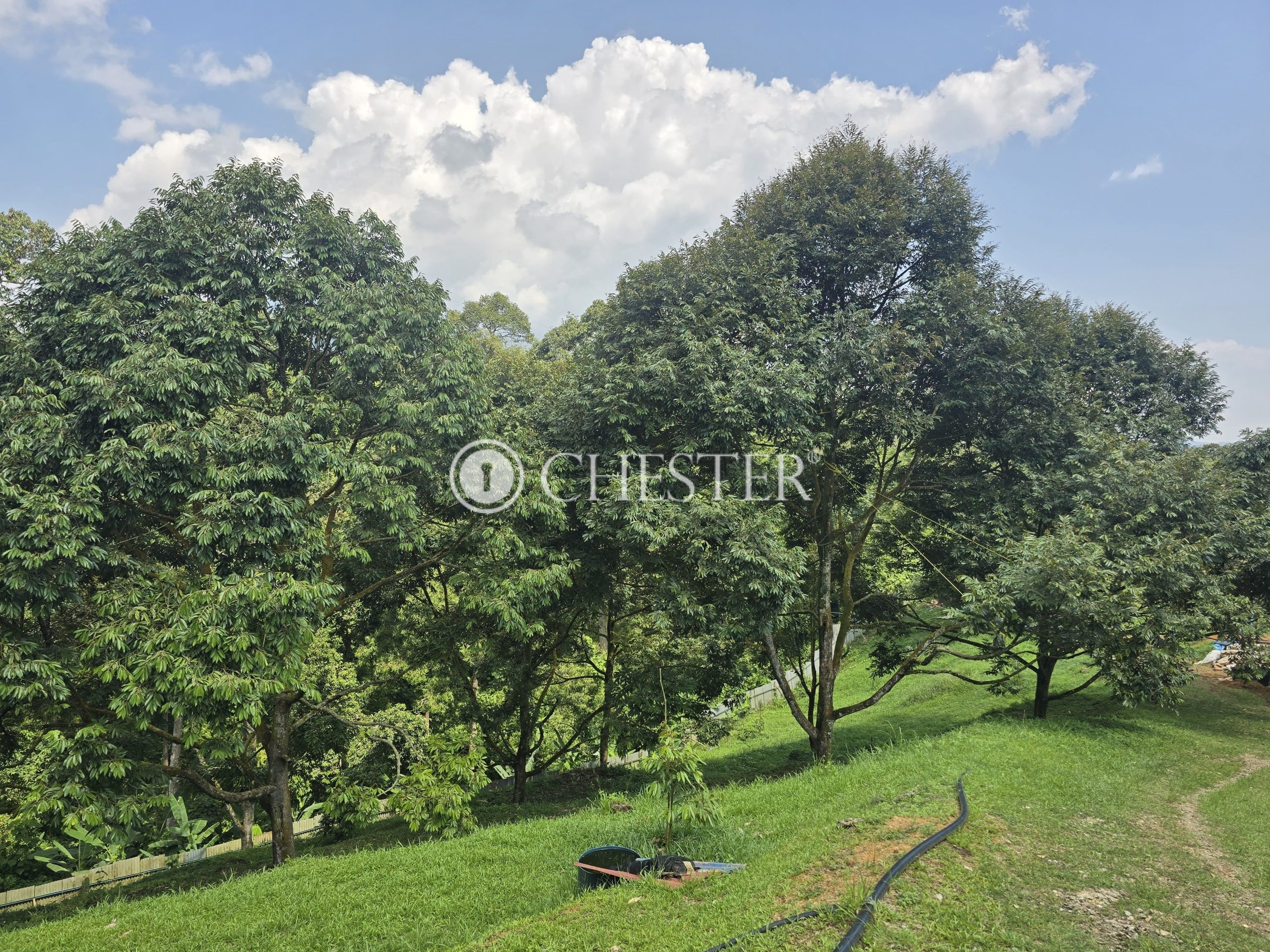 20250507_114353-min-scaled-1