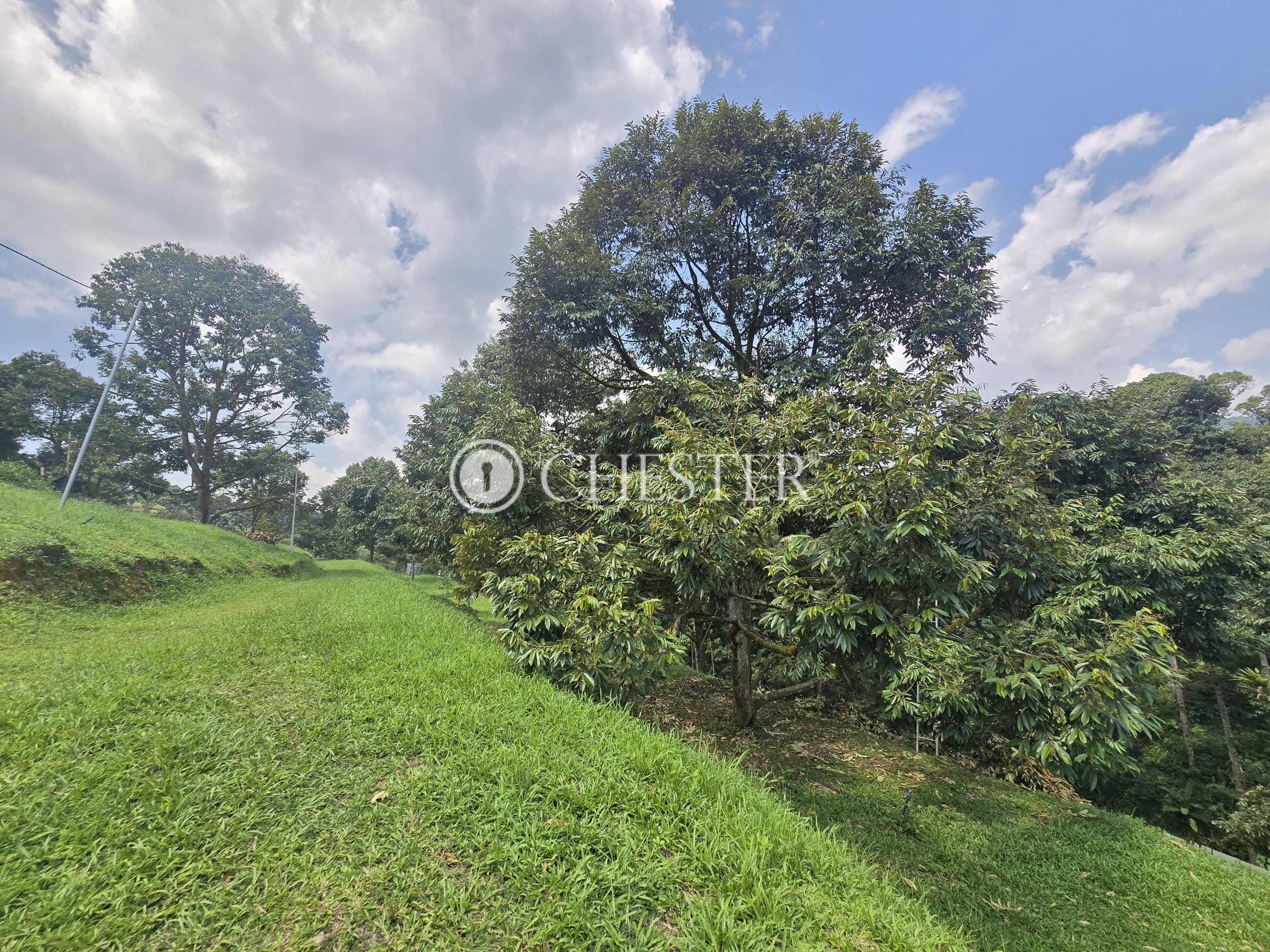 20250507_114410-min-scaled-1