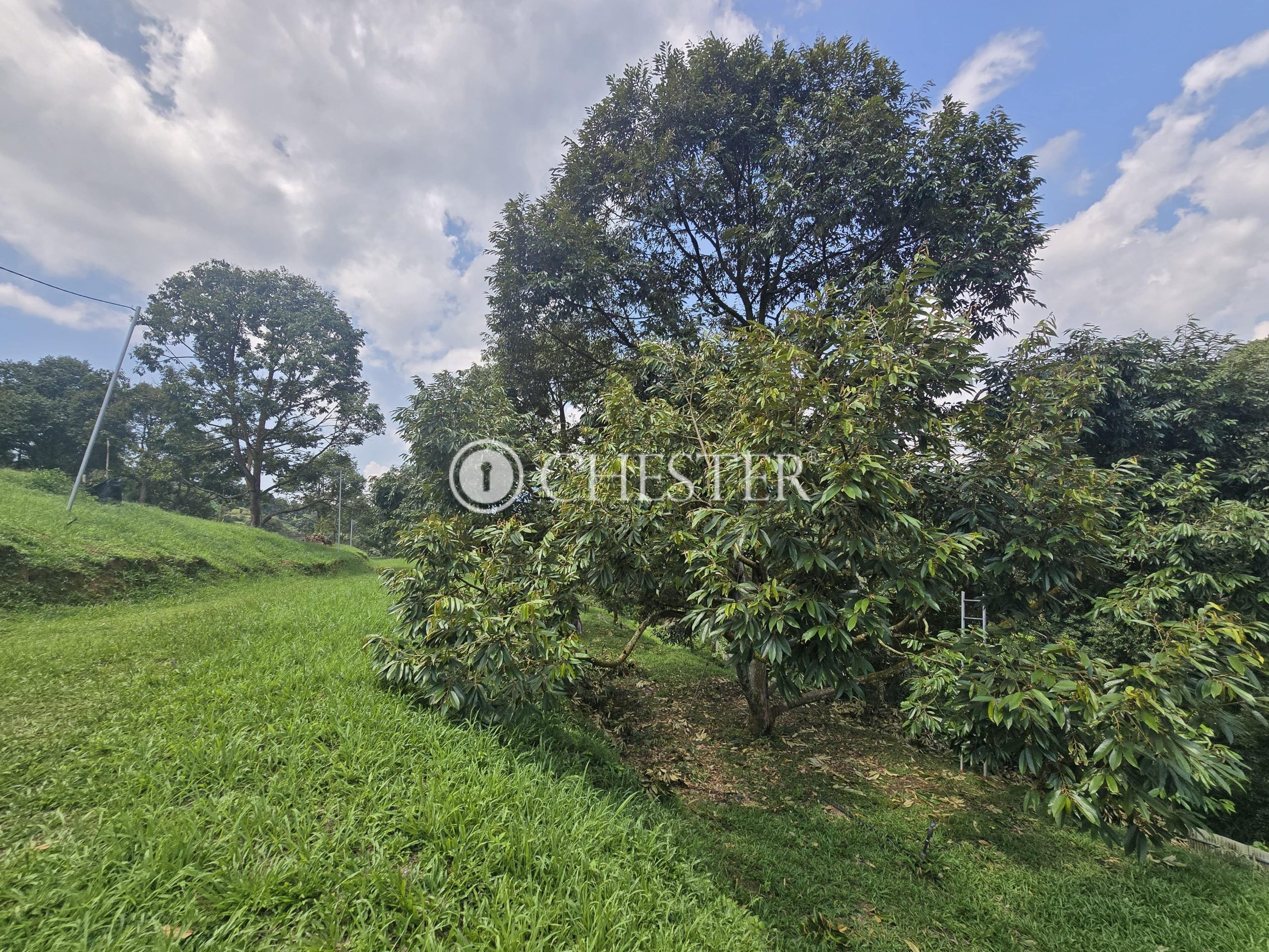 20250507_114417-min-scaled-1