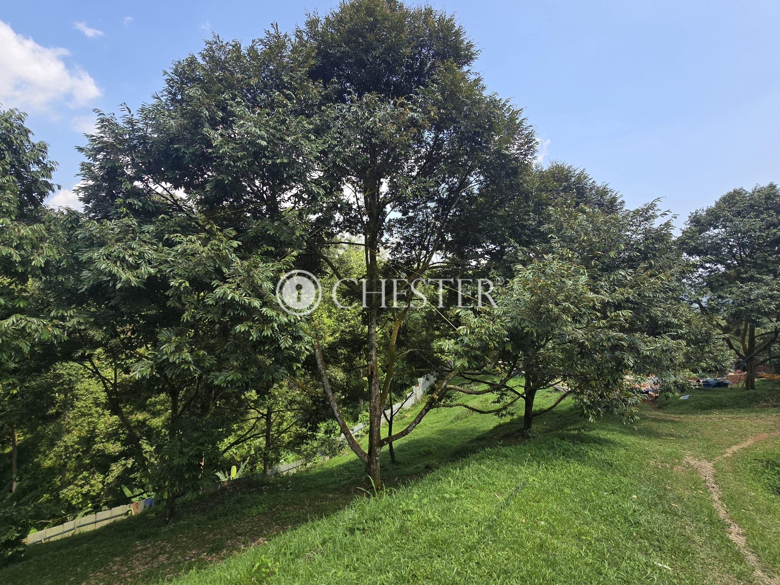 20250507_114438-min-scaled-1