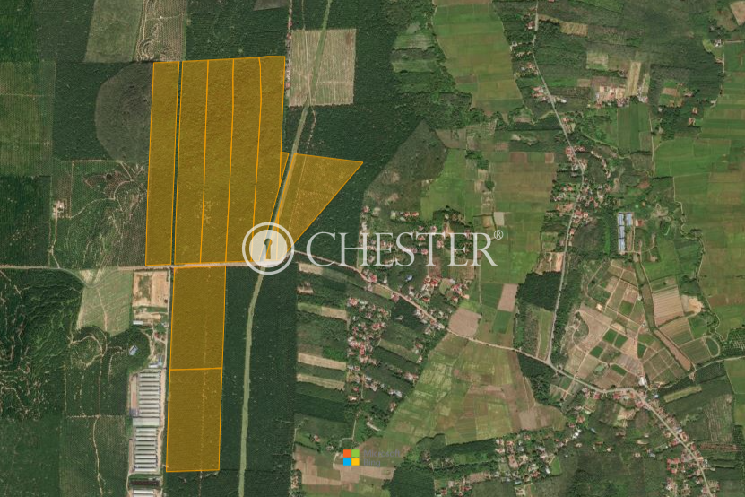 279-acres-kedah-agri-land-for-sale-1