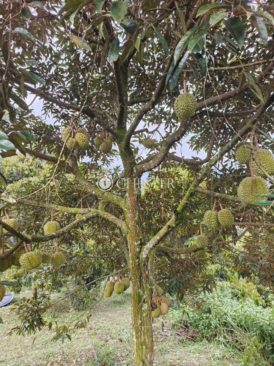 2b058f74-b6ed-4518-ac86-a1ddb6f6cc92