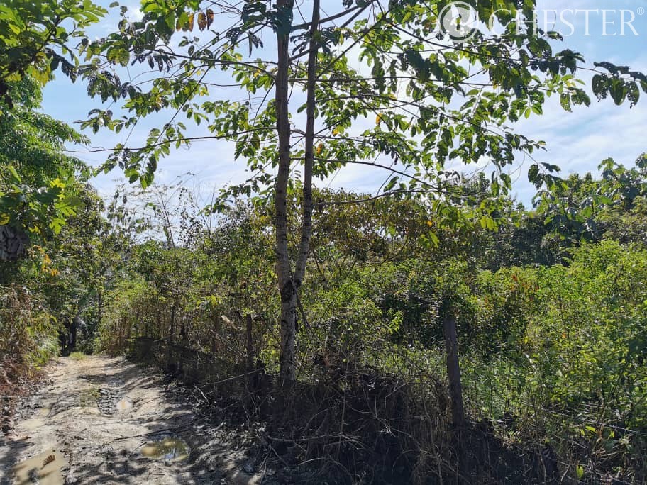 4-5-acres-karak-kg-cinta-manis-sertik-vacant-land-for-sales-1