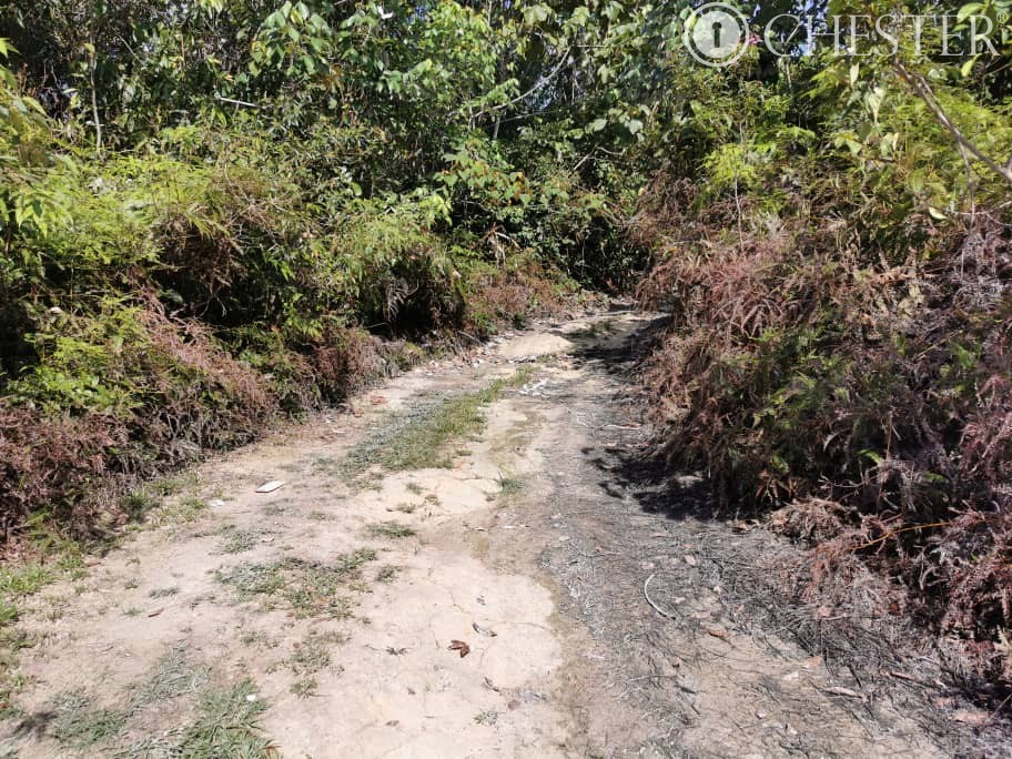 4-5-acres-karak-kg-cinta-manis-sertik-vacant-land-for-sales-10