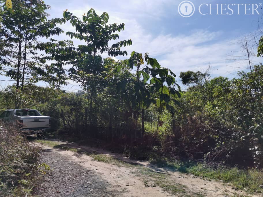 4-5-acres-karak-kg-cinta-manis-sertik-vacant-land-for-sales-12