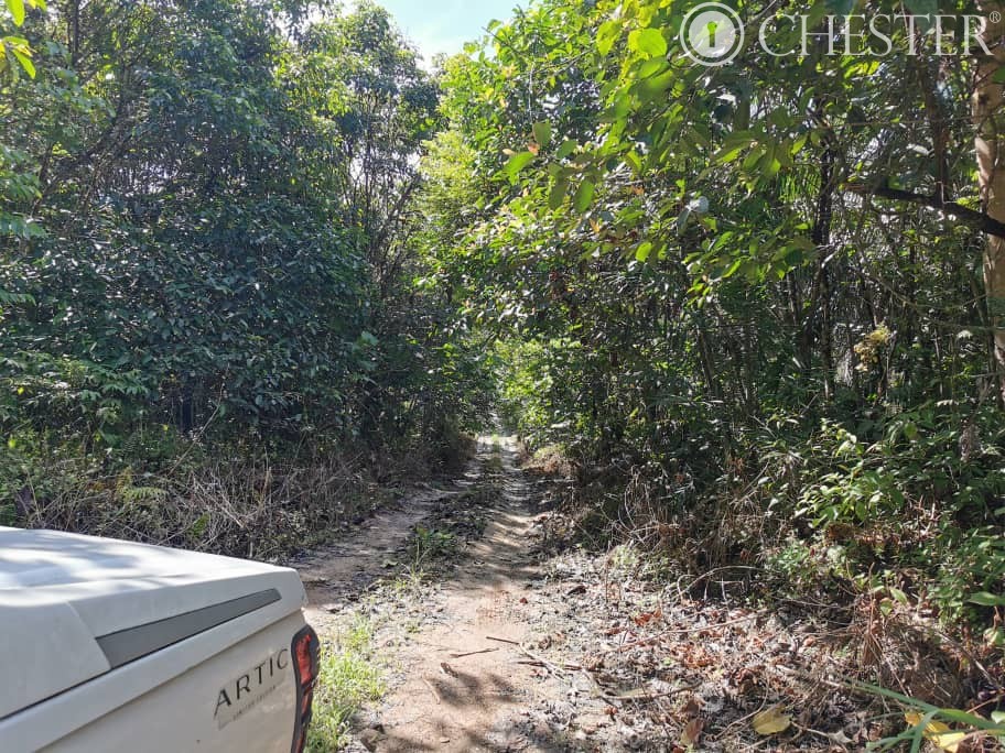 4-5-acres-karak-kg-cinta-manis-sertik-vacant-land-for-sales-2