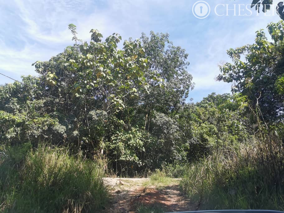 4-5-acres-karak-kg-cinta-manis-sertik-vacant-land-for-sales-4