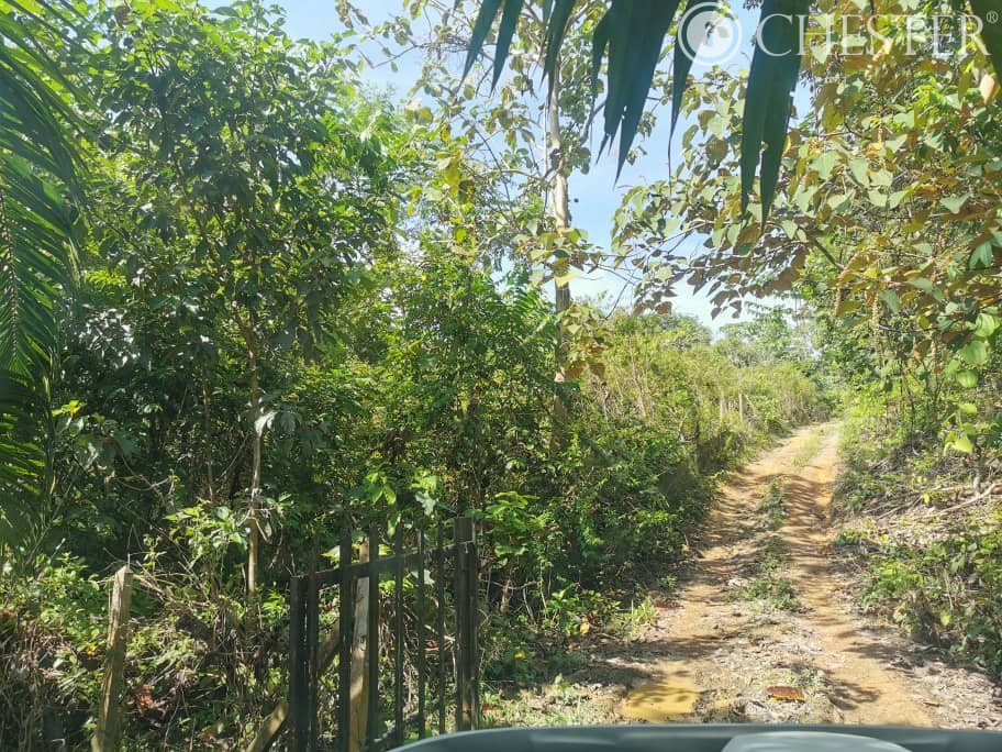 4-5-acres-karak-kg-cinta-manis-sertik-vacant-land-for-sales-6