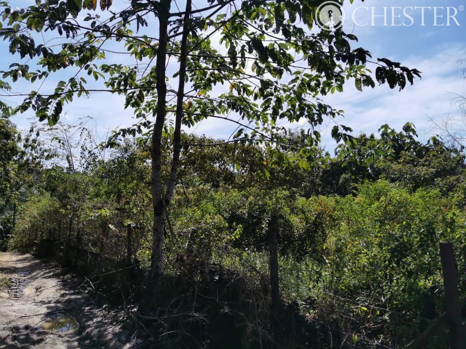 4-5-acres-karak-kg-cinta-manis-sertik-vacant-land-for-sales-8