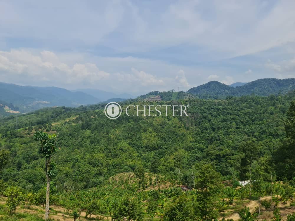 4-9-acres-bentong-old-road-rubber-land-for-sale-1