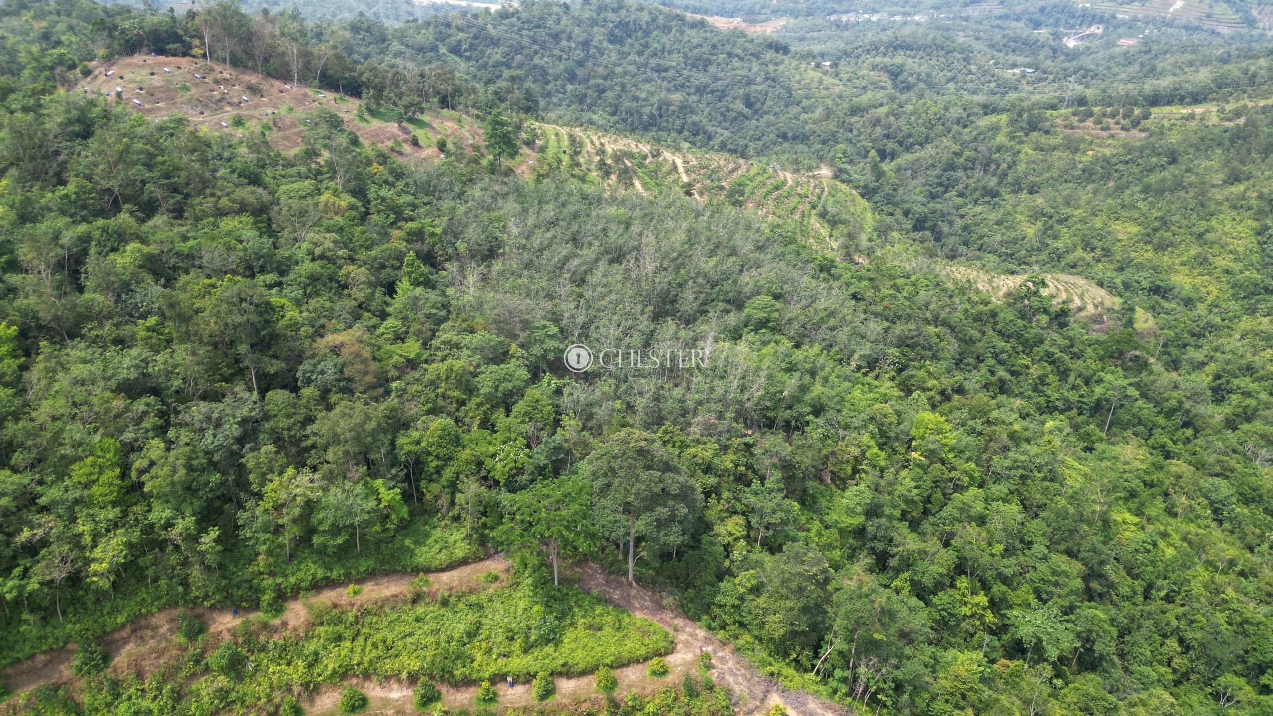 4-9-acres-bentong-old-road-rubber-land-for-sale-10