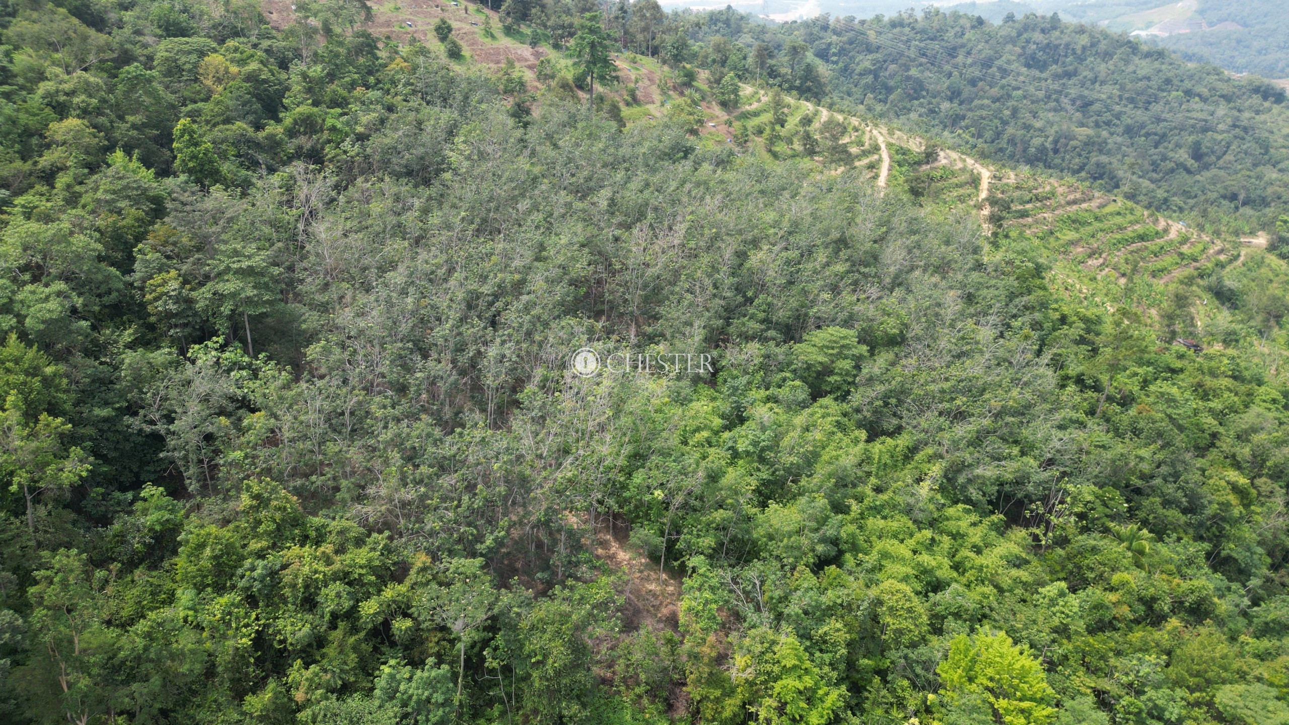 4-9-acres-bentong-old-road-rubber-land-for-sale-12