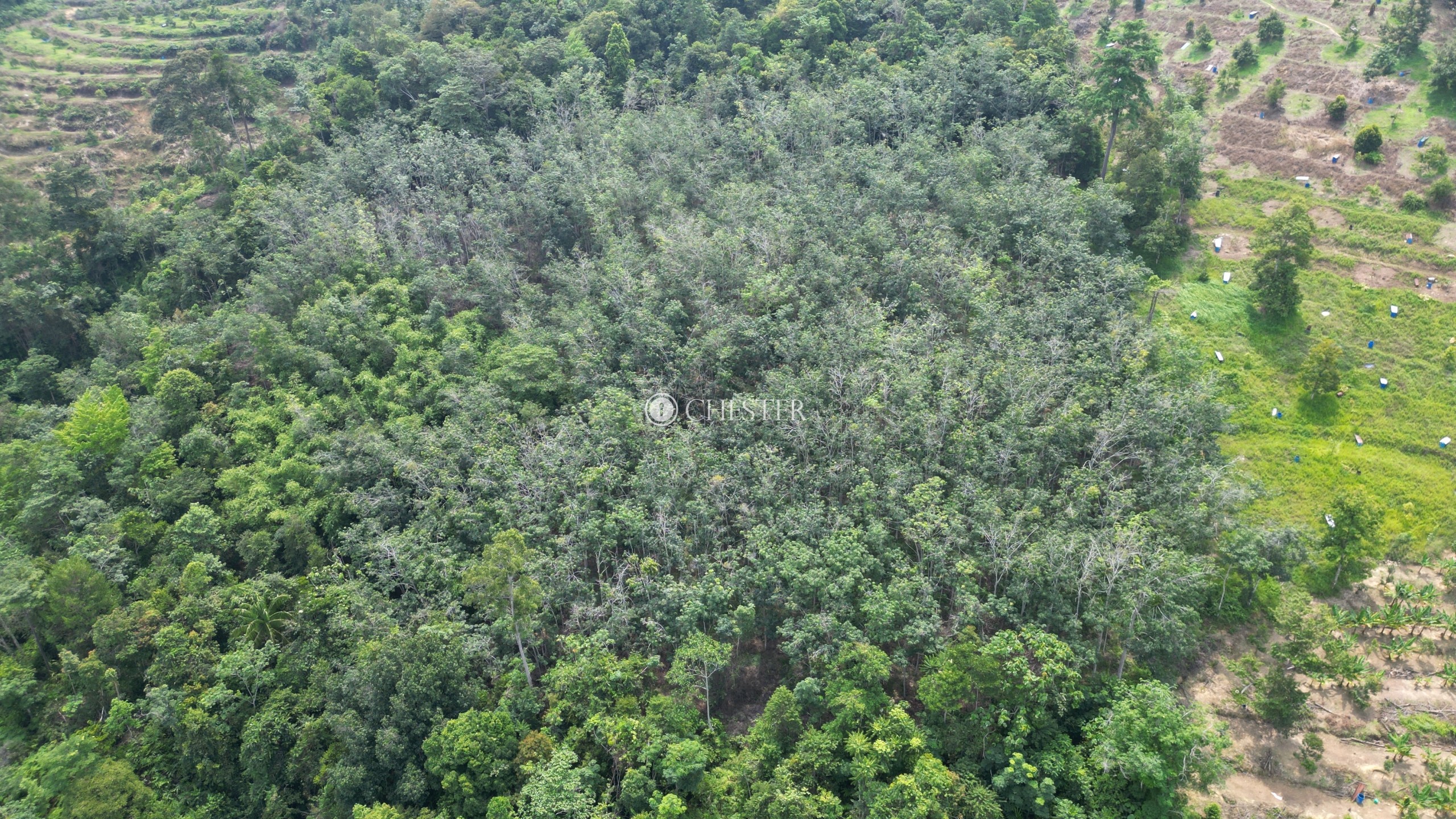 4-9-acres-bentong-old-road-rubber-land-for-sale-14