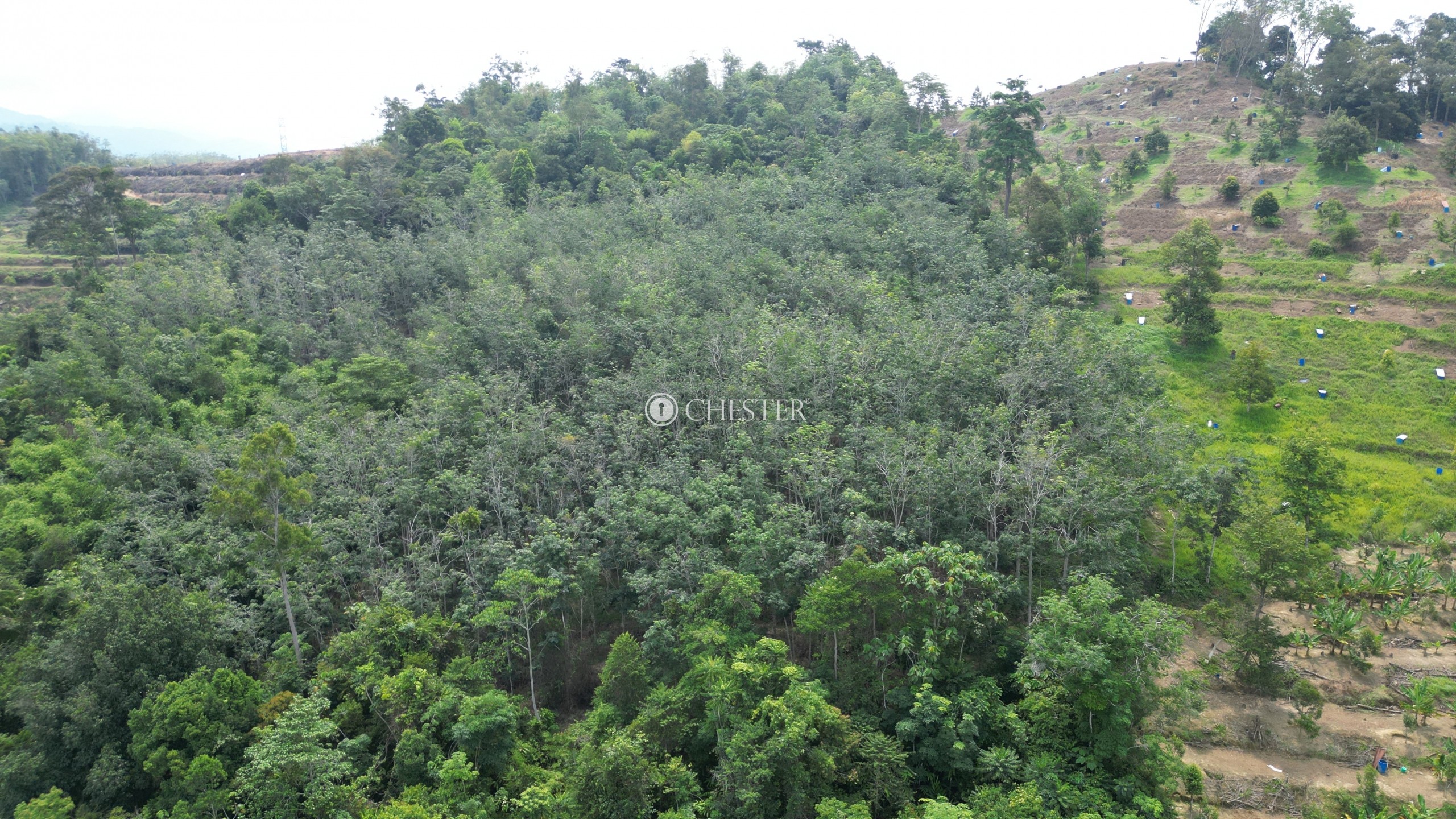4-9-acres-bentong-old-road-rubber-land-for-sale-16